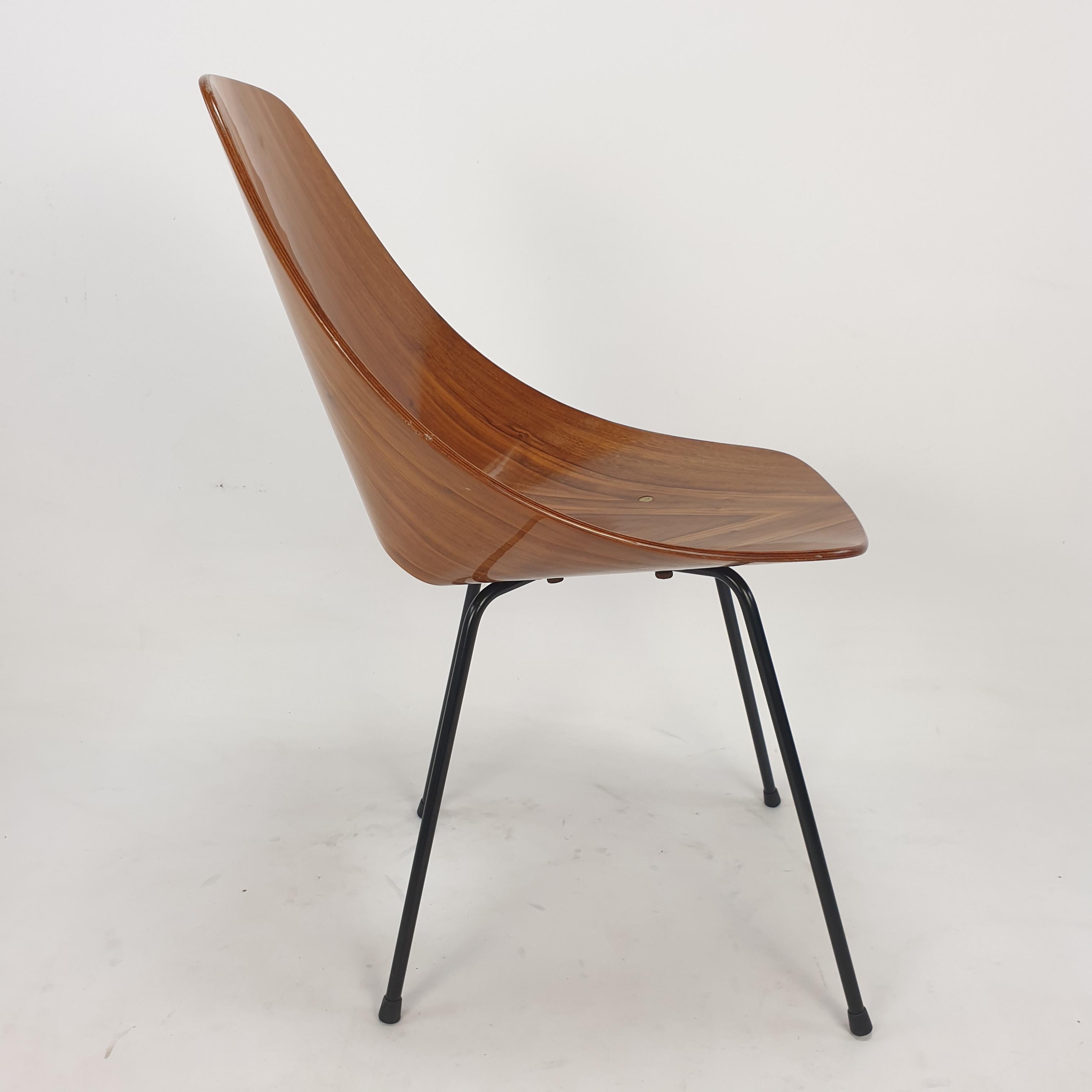 Mid-20th Century Mid Century Medea Chair by Vittorio Nobili for Fratelli Tagliablue, 50's For Sale