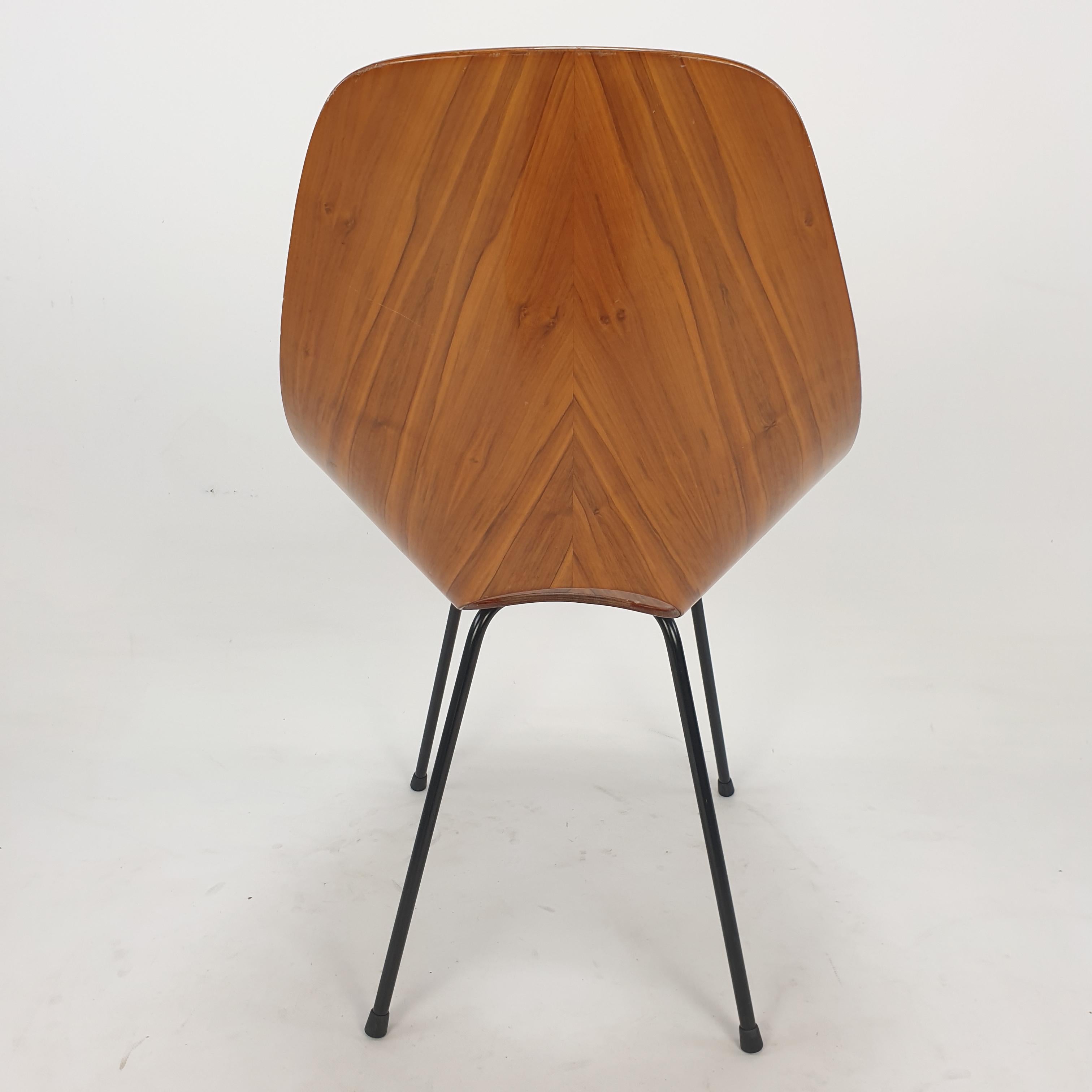 Teak Mid Century Medea Chair by Vittorio Nobili for Fratelli Tagliablue, 50's For Sale