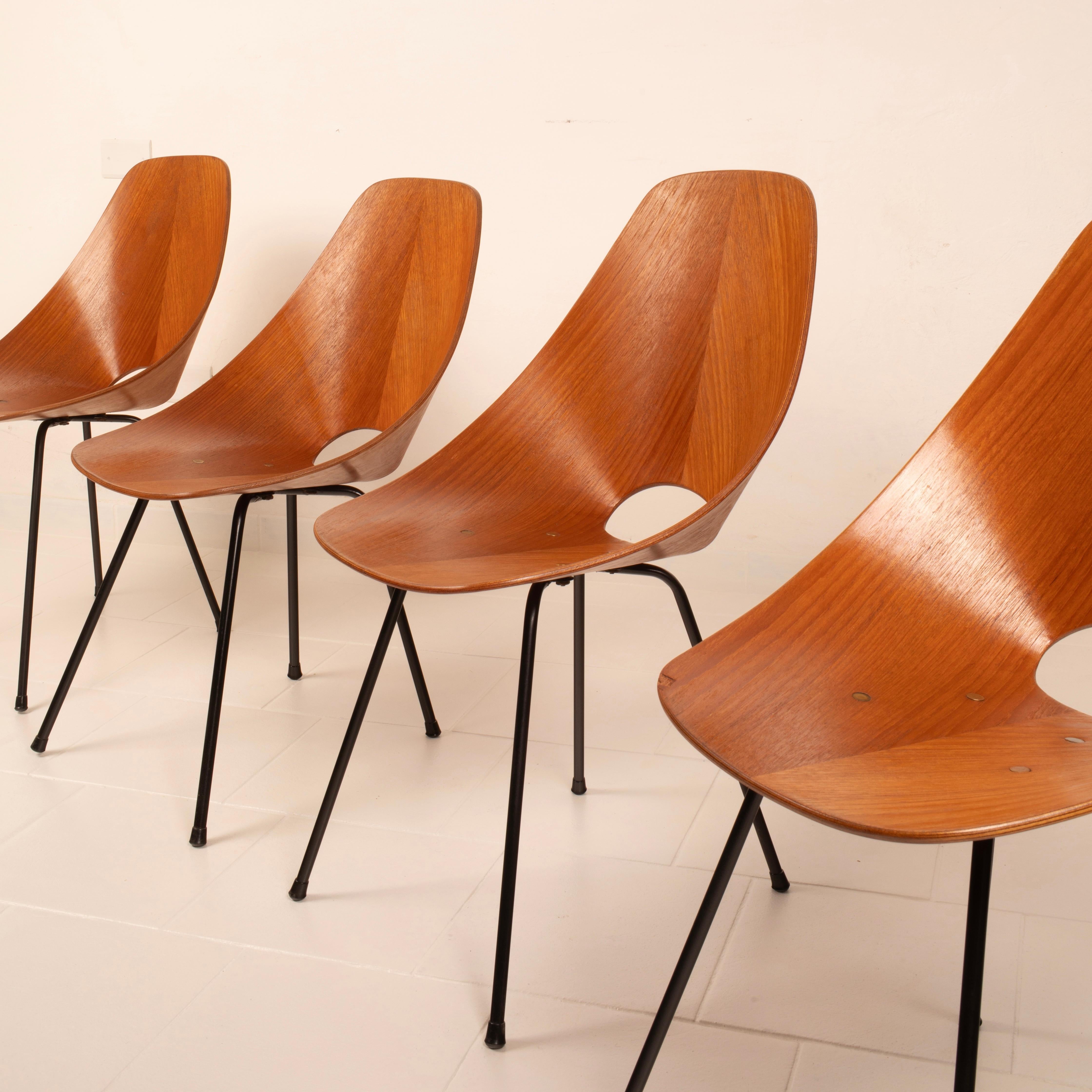 Mid Century Medea Chairs by Vittorio Nobili for Fratelli Tagliabue, 1950s For Sale 5