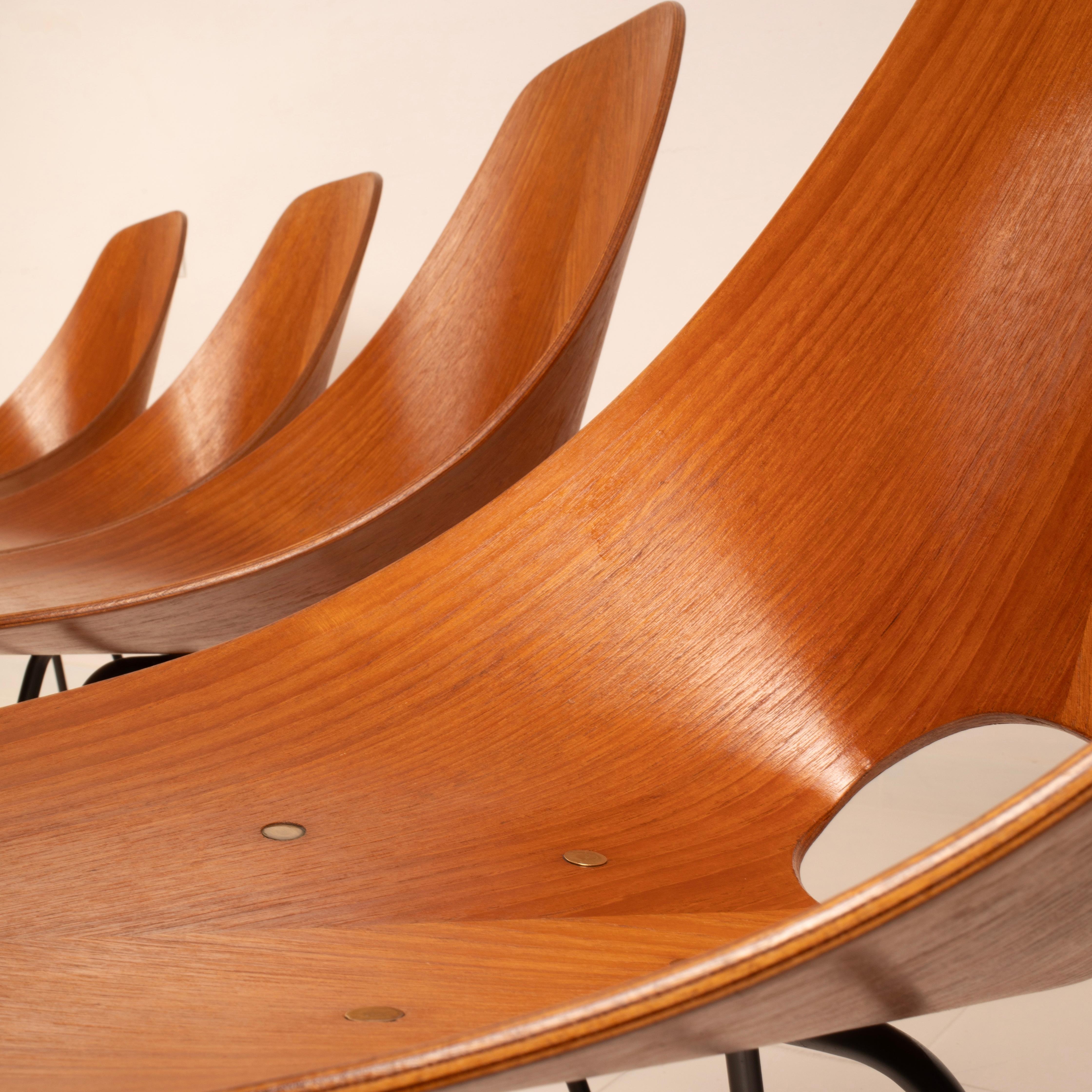 Mid Century Medea Chairs by Vittorio Nobili for Fratelli Tagliabue, 1950s For Sale 6