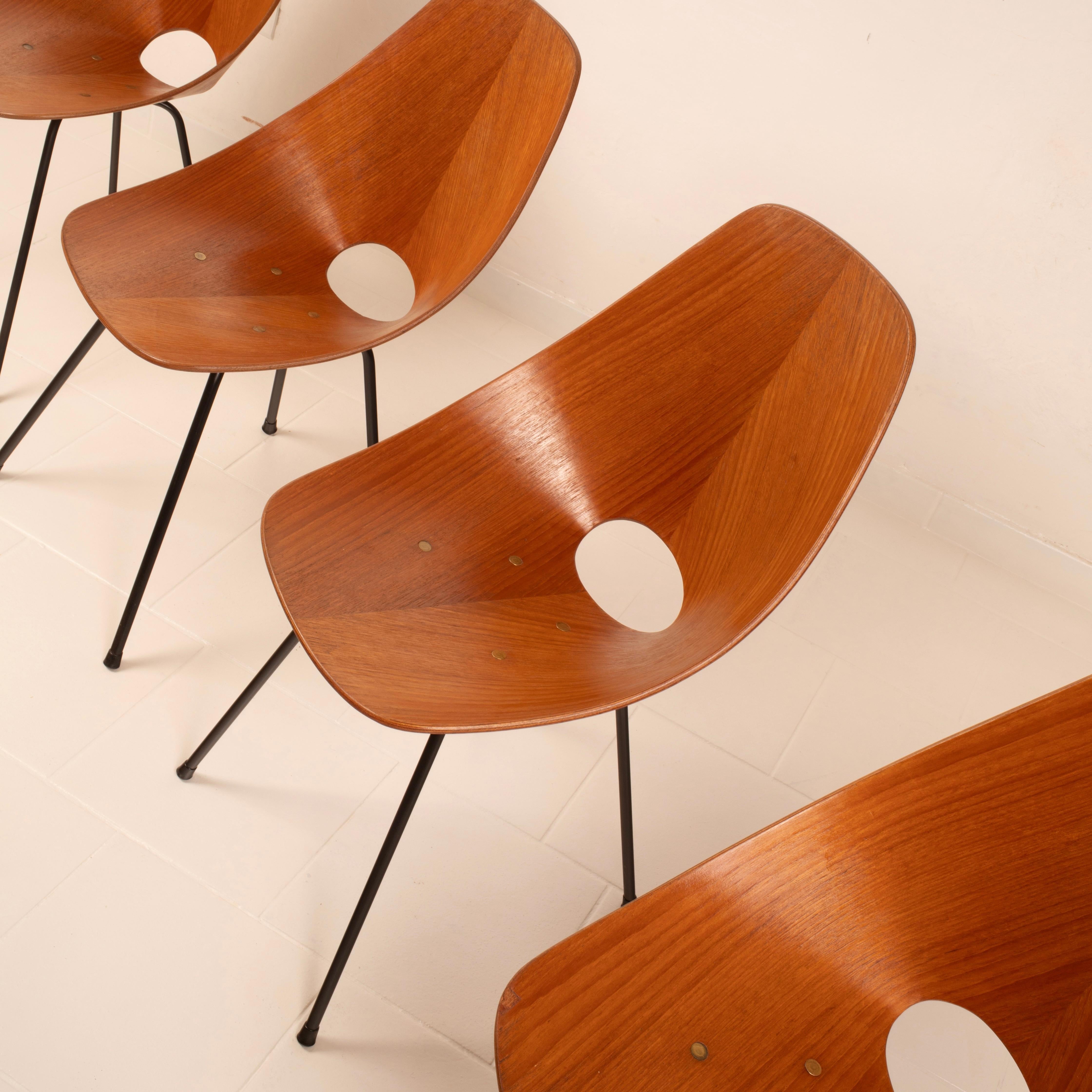 Mid Century Medea Chairs by Vittorio Nobili for Fratelli Tagliabue, 1950s For Sale 8