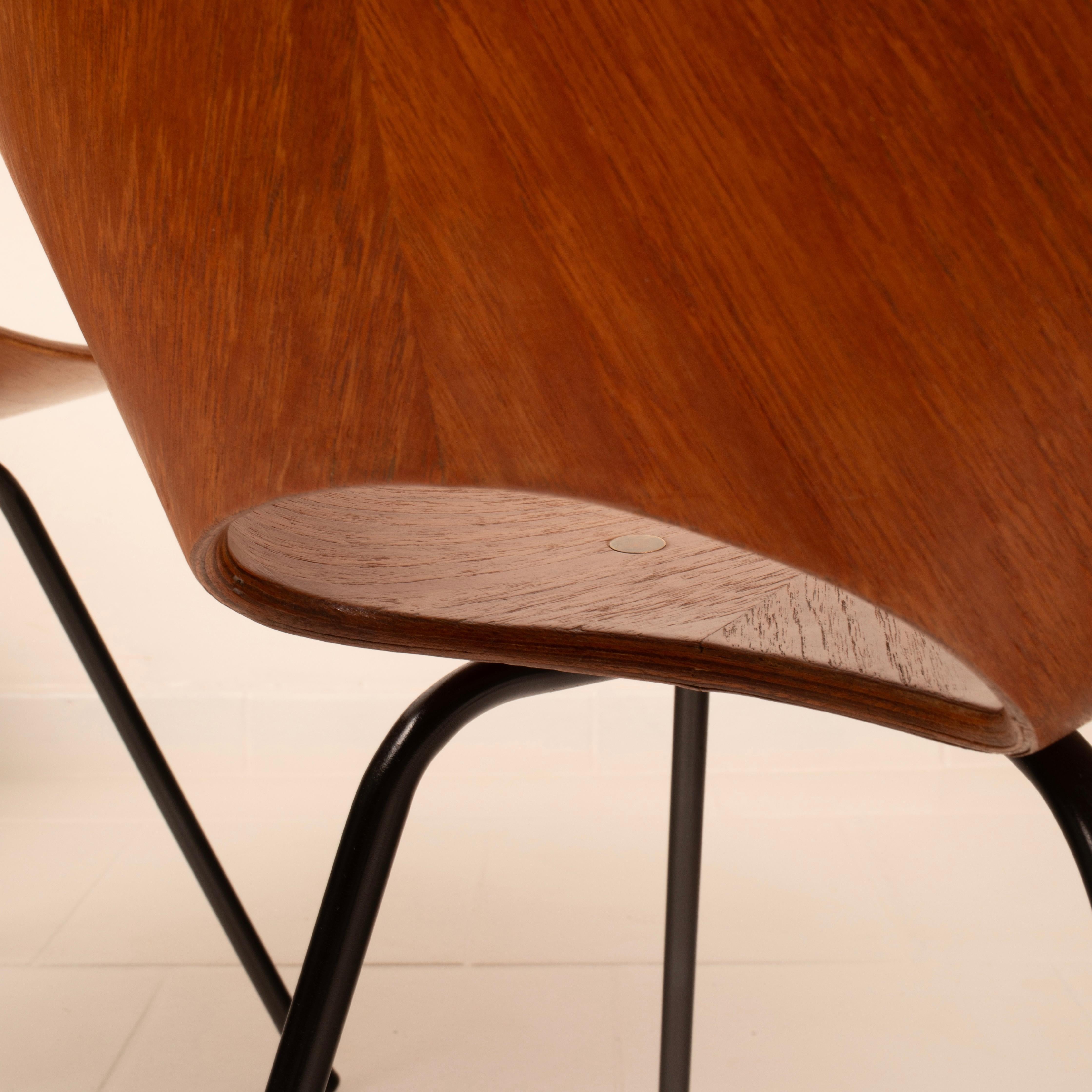Mid Century Medea Chairs by Vittorio Nobili for Fratelli Tagliabue, 1950s For Sale 12