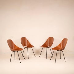 Mid Century Medea Stühle von Vittorio Nobili für Fratelli Tagliabue, 1950er Jahre