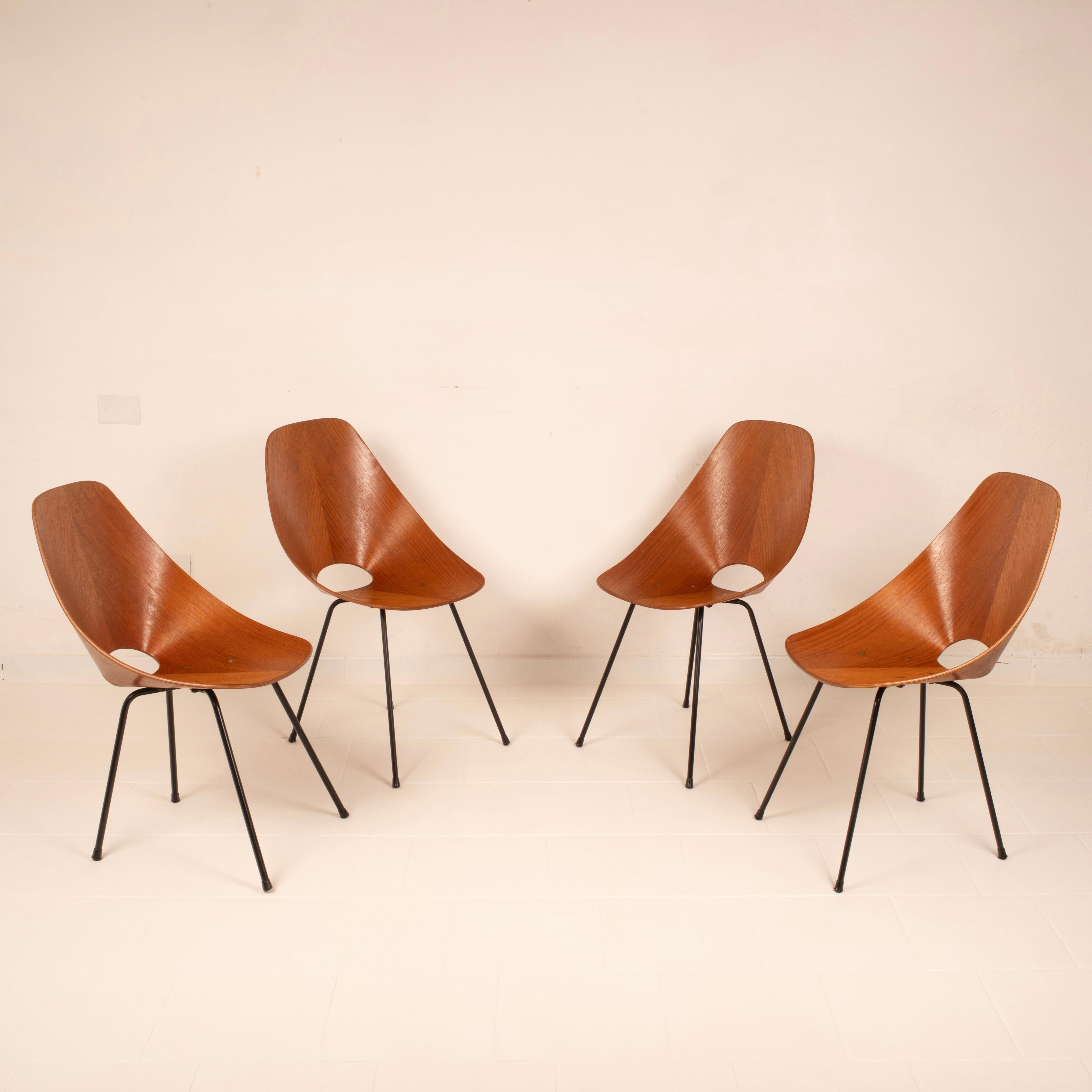 Mid-Century Modern Mid Century Medea Chairs by Vittorio Nobili for Fratelli Tagliabue, 1950s For Sale