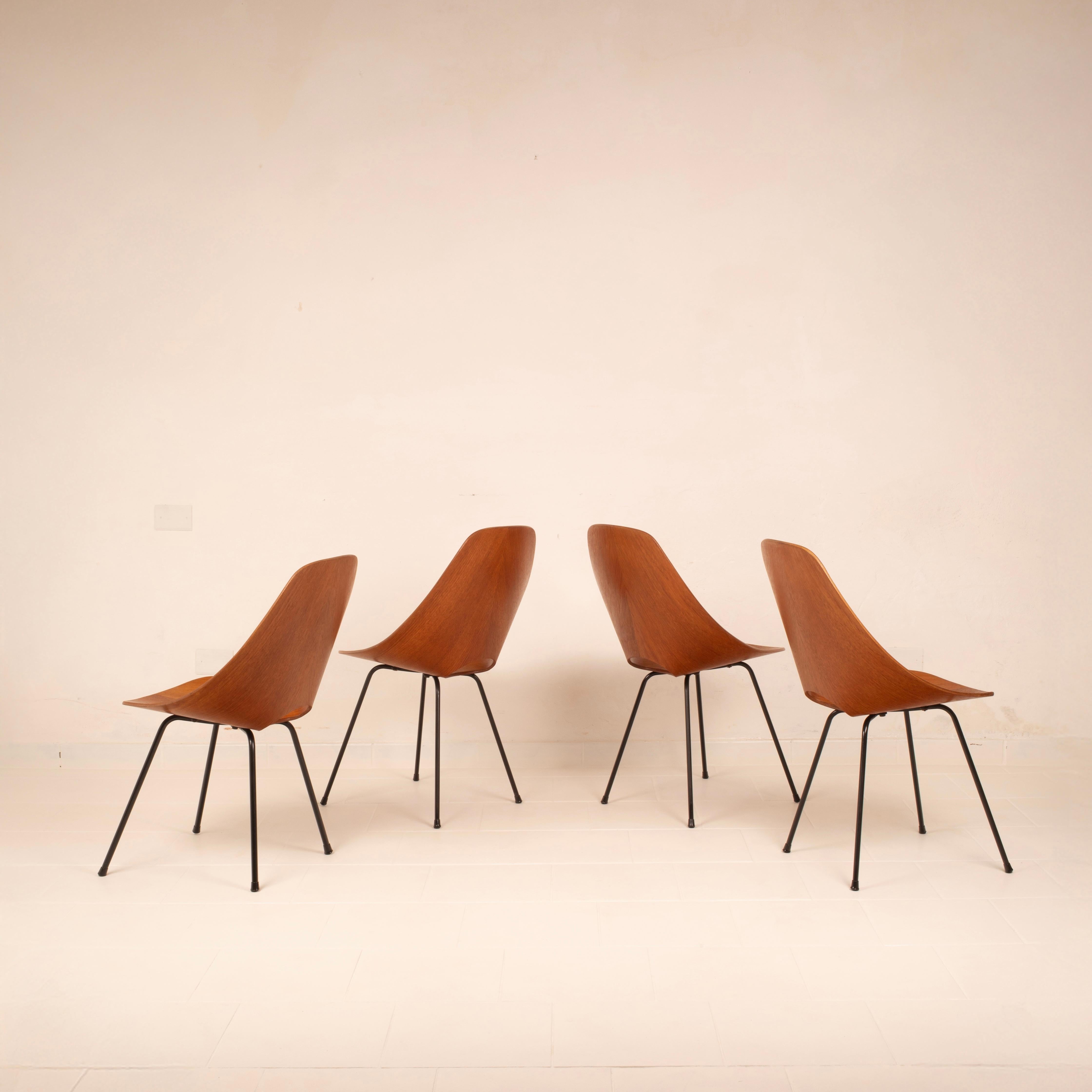 Mid-20th Century Mid Century Medea Chairs by Vittorio Nobili for Fratelli Tagliabue, 1950s For Sale