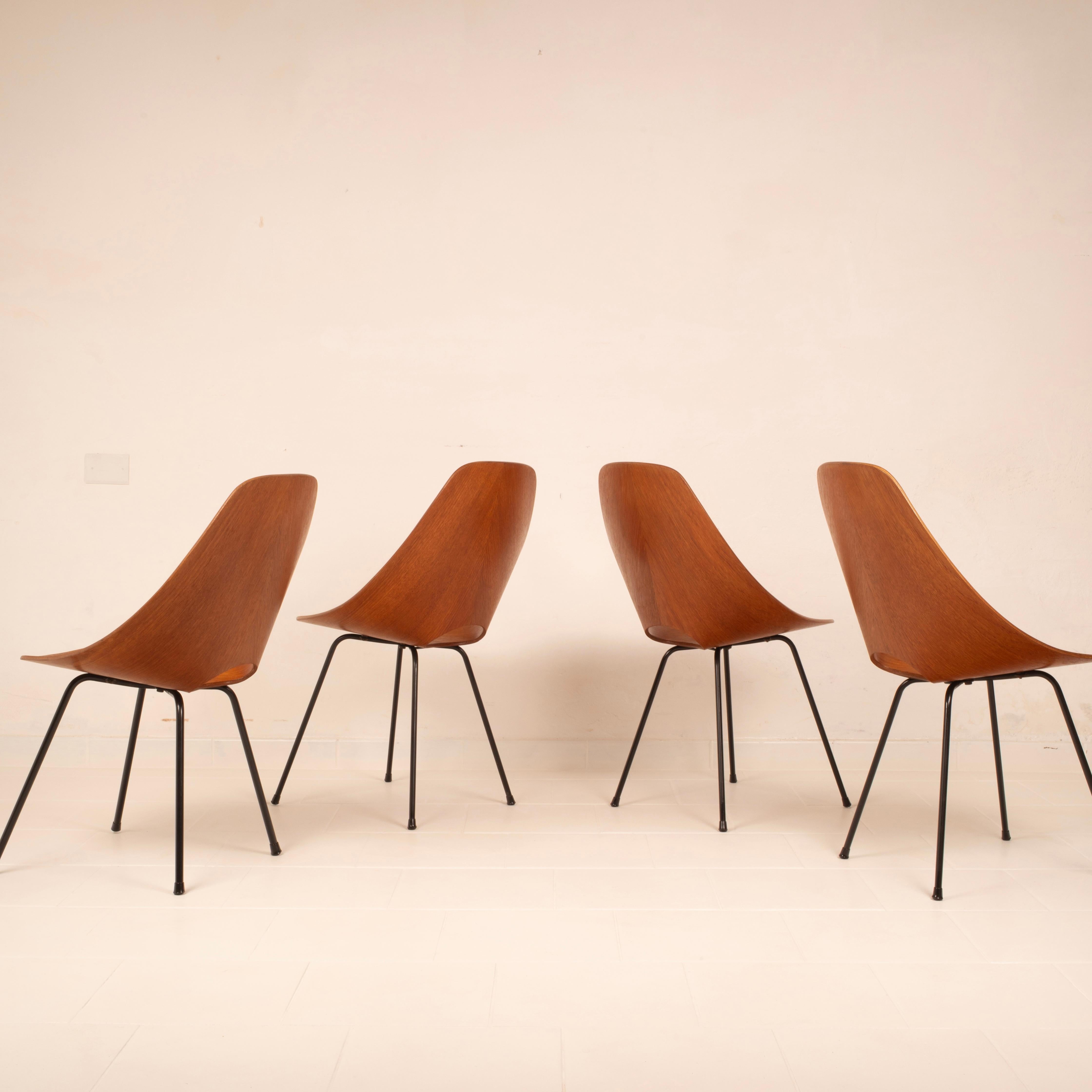 Metal Mid Century Medea Chairs by Vittorio Nobili for Fratelli Tagliabue, 1950s For Sale