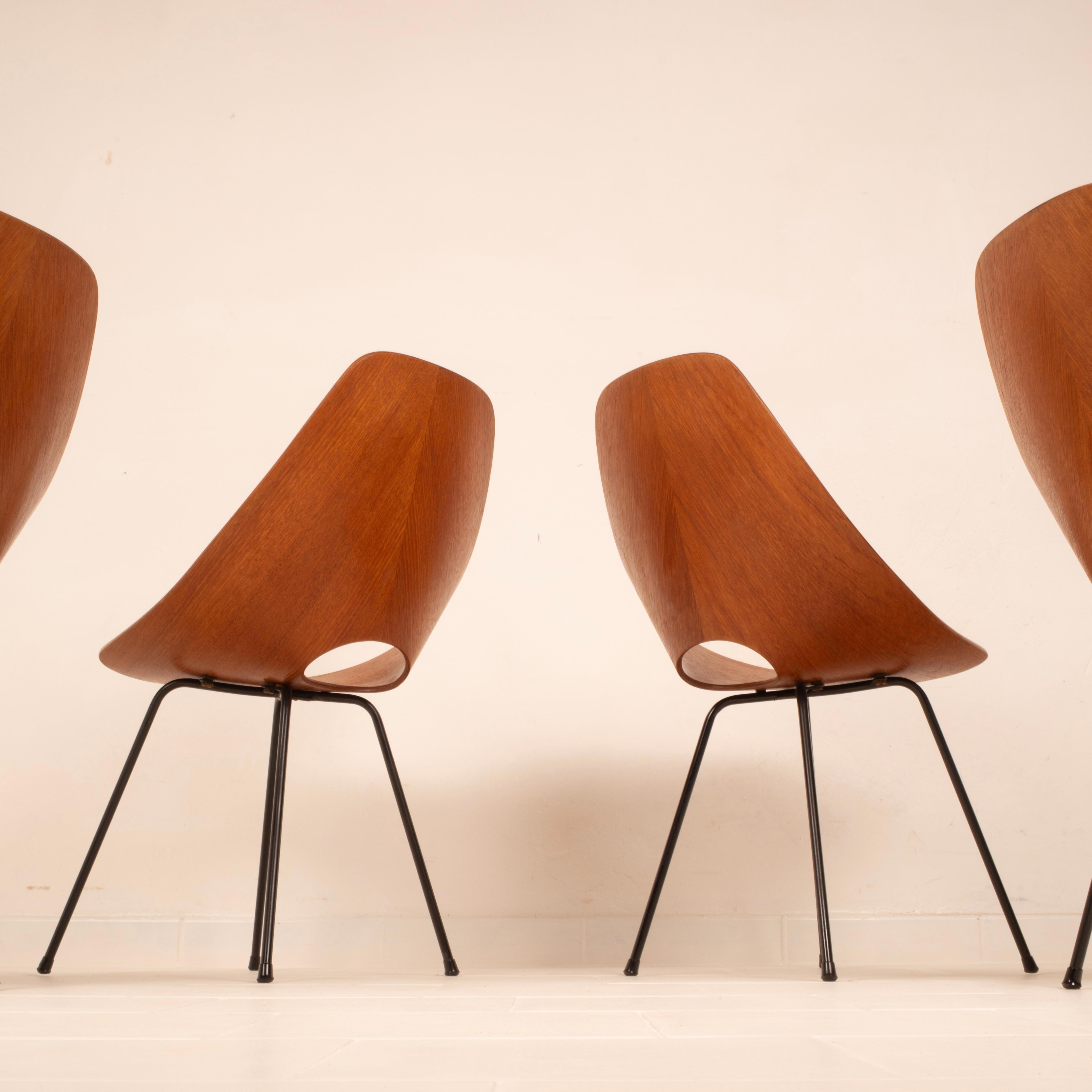 Mid Century Medea Chairs by Vittorio Nobili for Fratelli Tagliabue, 1950s For Sale 1