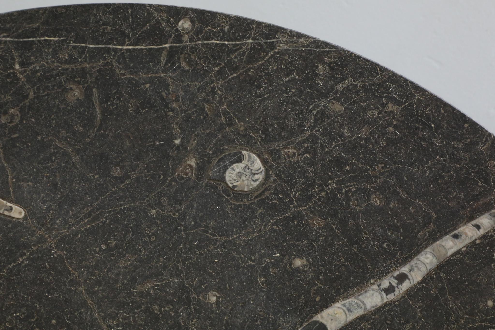 Mid-Century Metaform Style Round Fossil Stone Coffee Table 2
