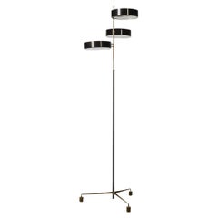 Lampade da terra