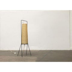 Mid-Century Minimalist German Floor Lamp from Hesse Leuchten, 1960s