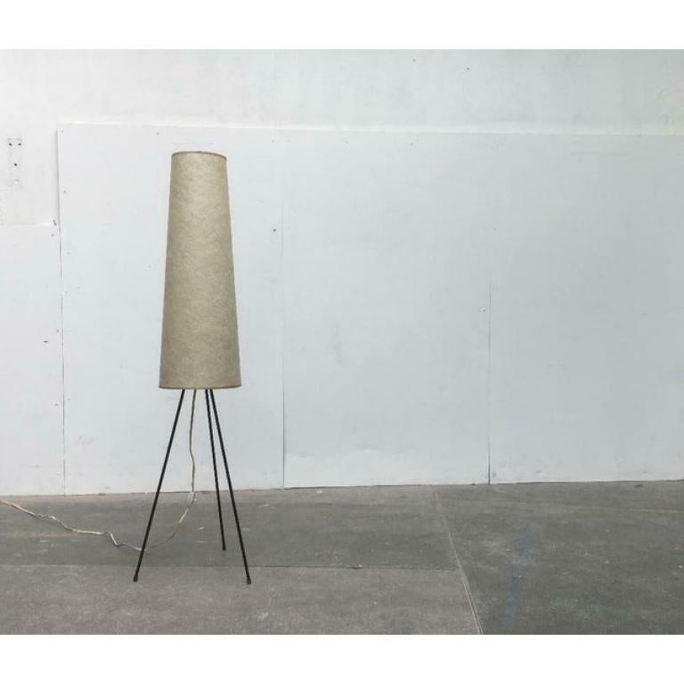 Elegante lampada da terra a treppiede del Mid Century.

In particolare la proporzione tra l'ombra e la struttura a tre gambe finemente realizzata. L'ombrello si assottiglia leggermente verso l'alto. Il materiale traslucido del paralume presenta una