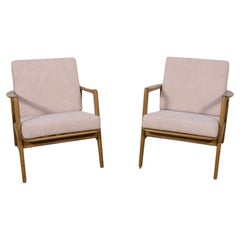  Mid-Century Model 300-139 Armchairs from Swarzędz Factory, 1960s, Set of 2