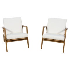  Mid-Century Model 300-139 Armchairs from Swarzędz Factory, 1960s, Set of 2