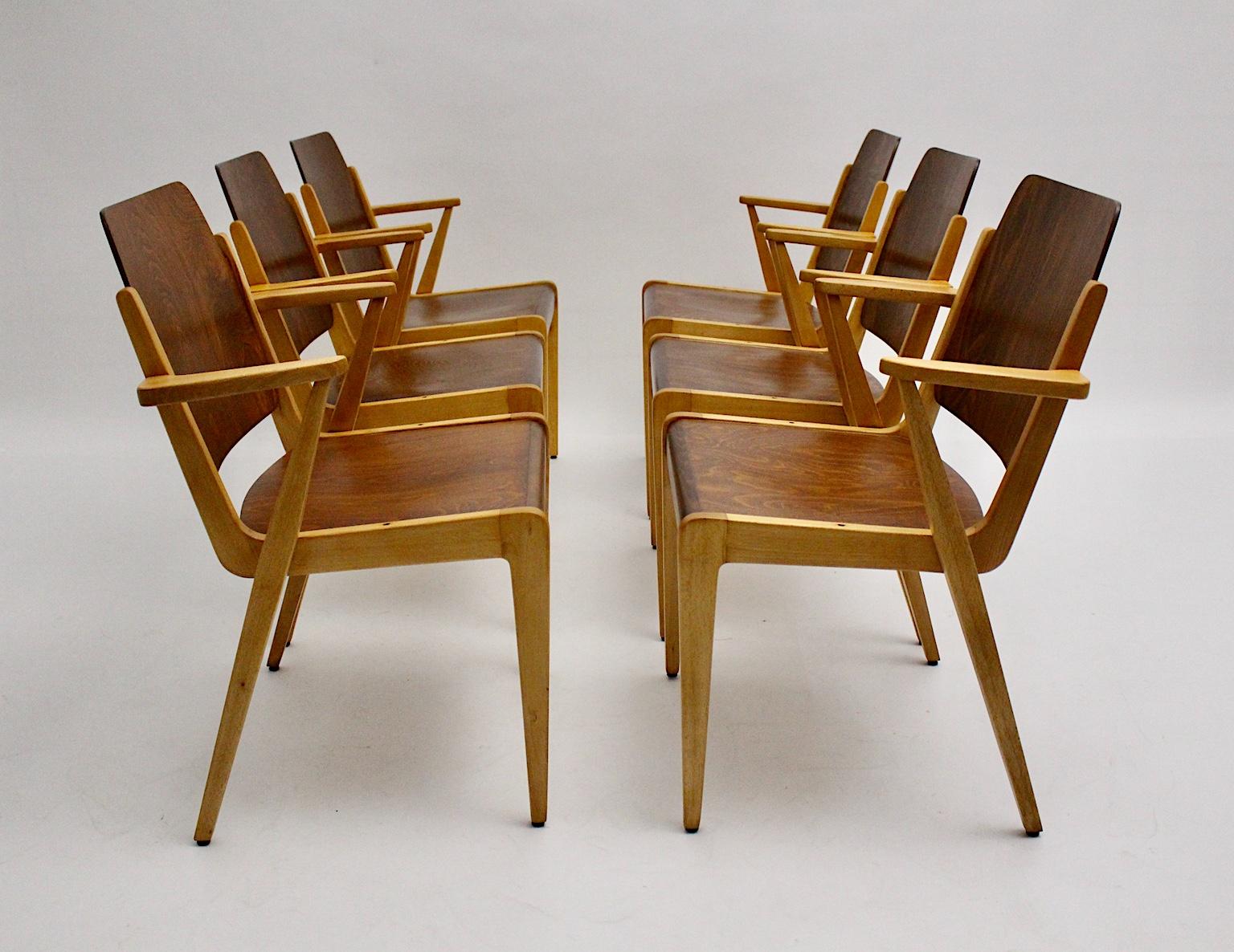 Zwölf Vintage-Esszimmerstühle aus zweifarbiger Buche, Franz Schuster, Mid-Century Modern im Angebot 3