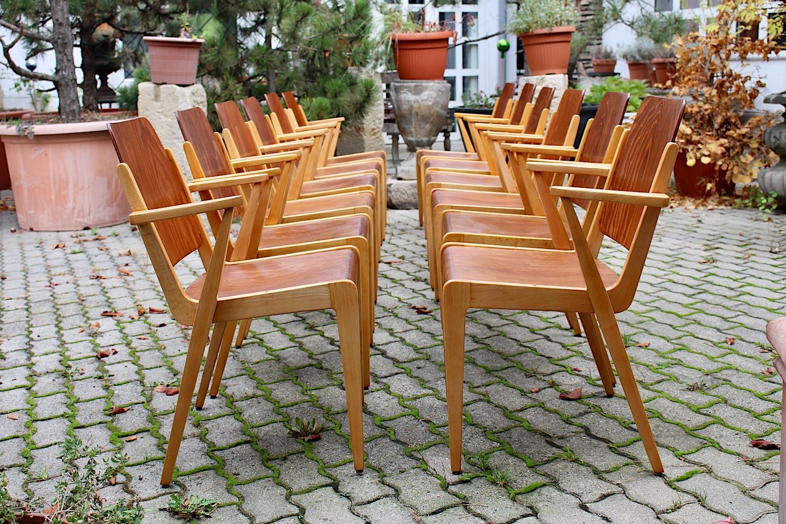Austrian Mid-Century Modern Twelve Vintage Bicolor Beech Dining Chairs Franz Schuster For Sale