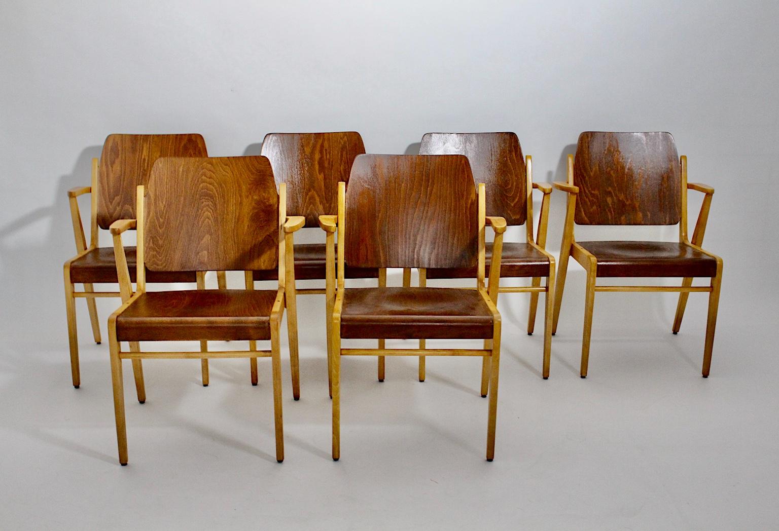 Mid-Century Modern Twelve Vintage Bicolor Beech Dining Chairs Franz Schuster In Good Condition For Sale In Vienna, AT