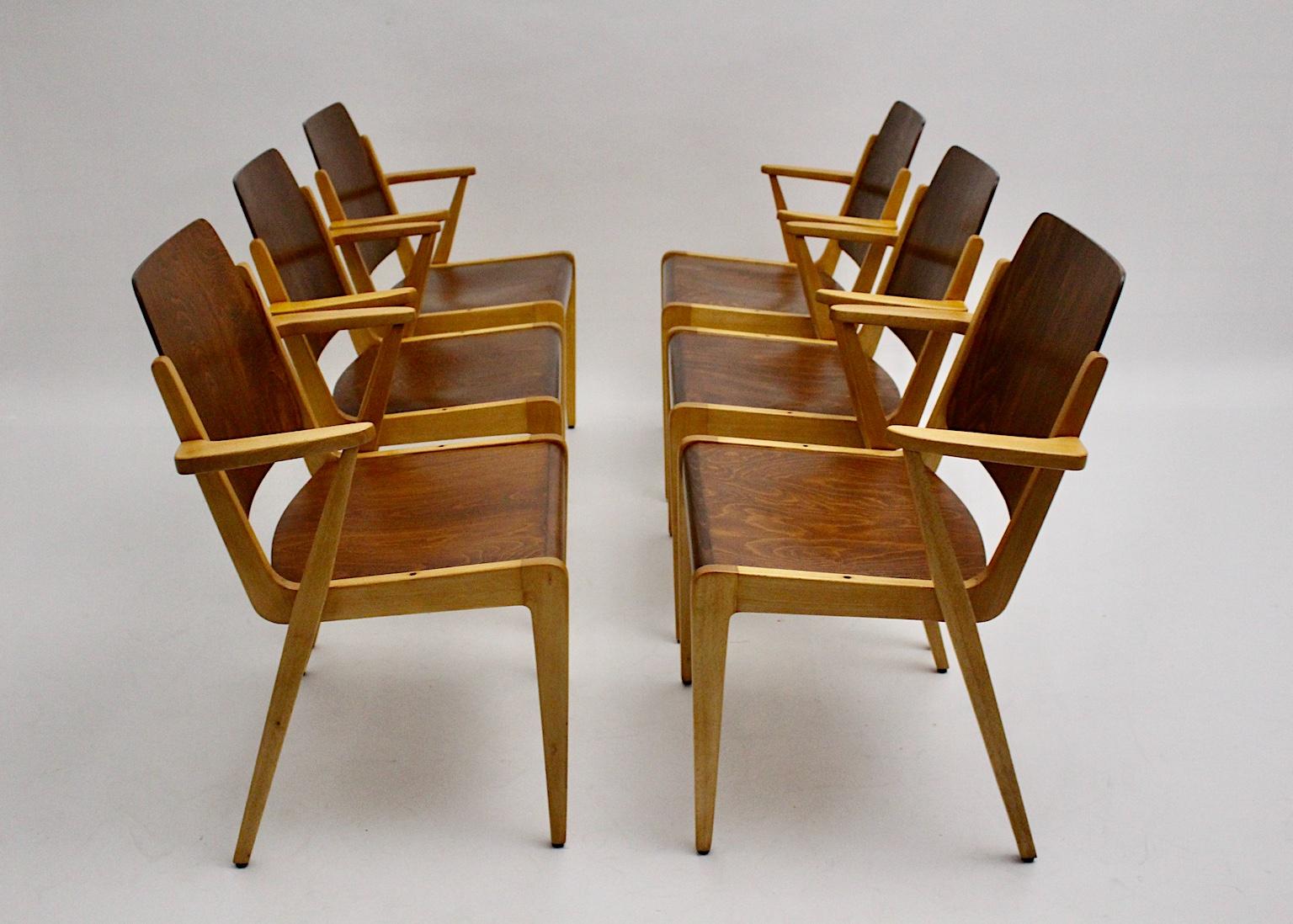 Mid-Century Modern Twelve Vintage Bicolor Beech Dining Chairs Franz Schuster For Sale 4
