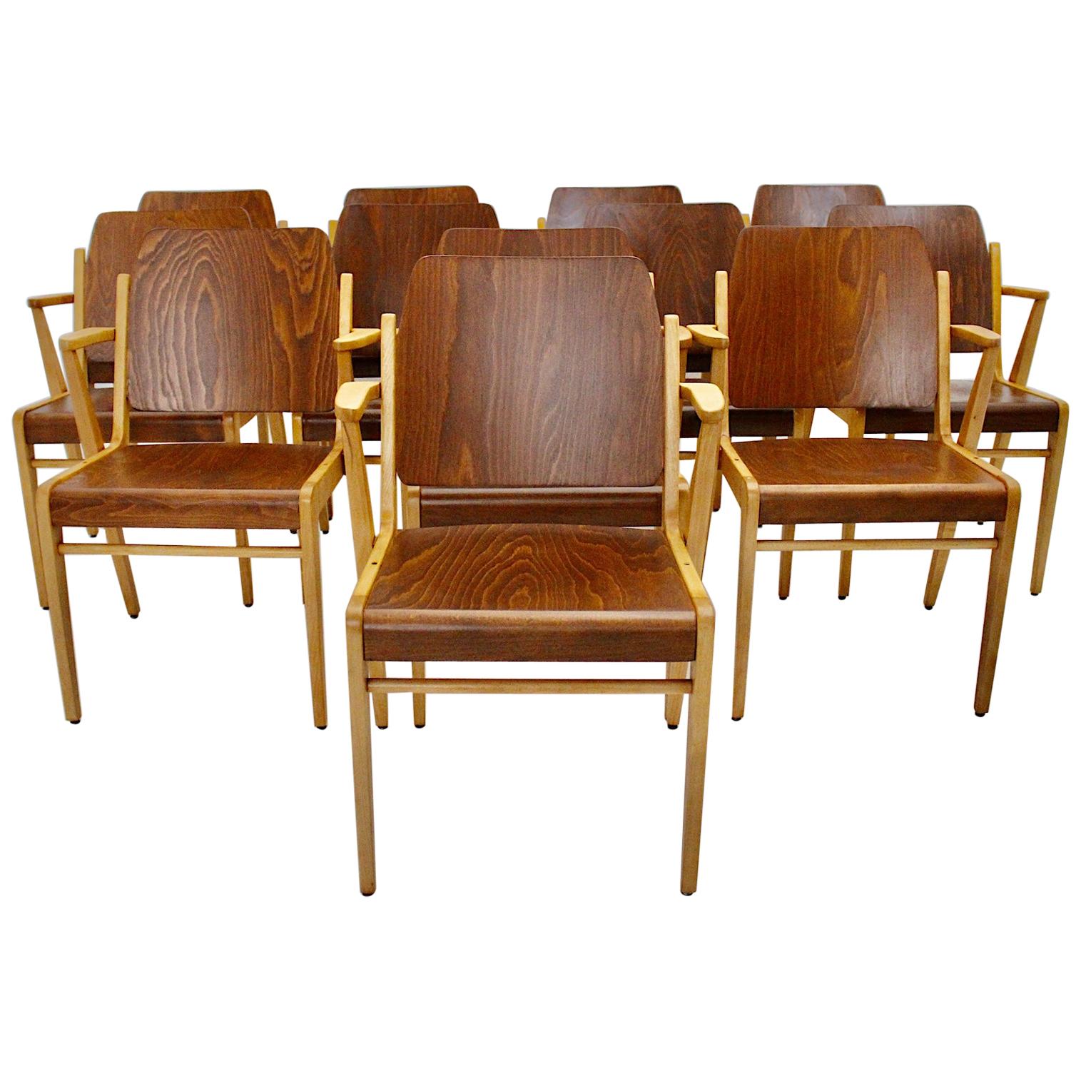 Mid-Century Modern Twelve Vintage Bicolor Beech Dining Chairs Franz Schuster For Sale