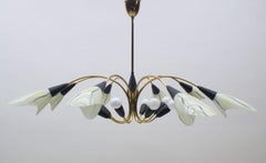 Mid-Century Modern 16-Armed Brass and Glass Sputnik Lamp, 1950s
