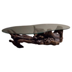 Table basse en bois flotté mi-siècle moderne des années 1960 avec plateau en verre biomorphique d'origine 