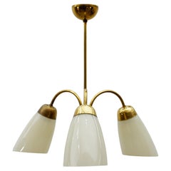 Mid Century Modern 3-Armed Brass & Glass Pendant Lamp, 1950s