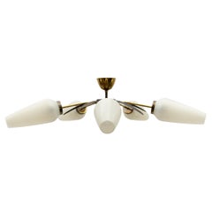 Mid-Century Modern 5-armed brass and glass Sputnik lamp, 1950