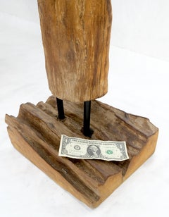 Mid Century Modern 78" Tall Narrow Drift Wood Sculpture Specimen on Wooden Base