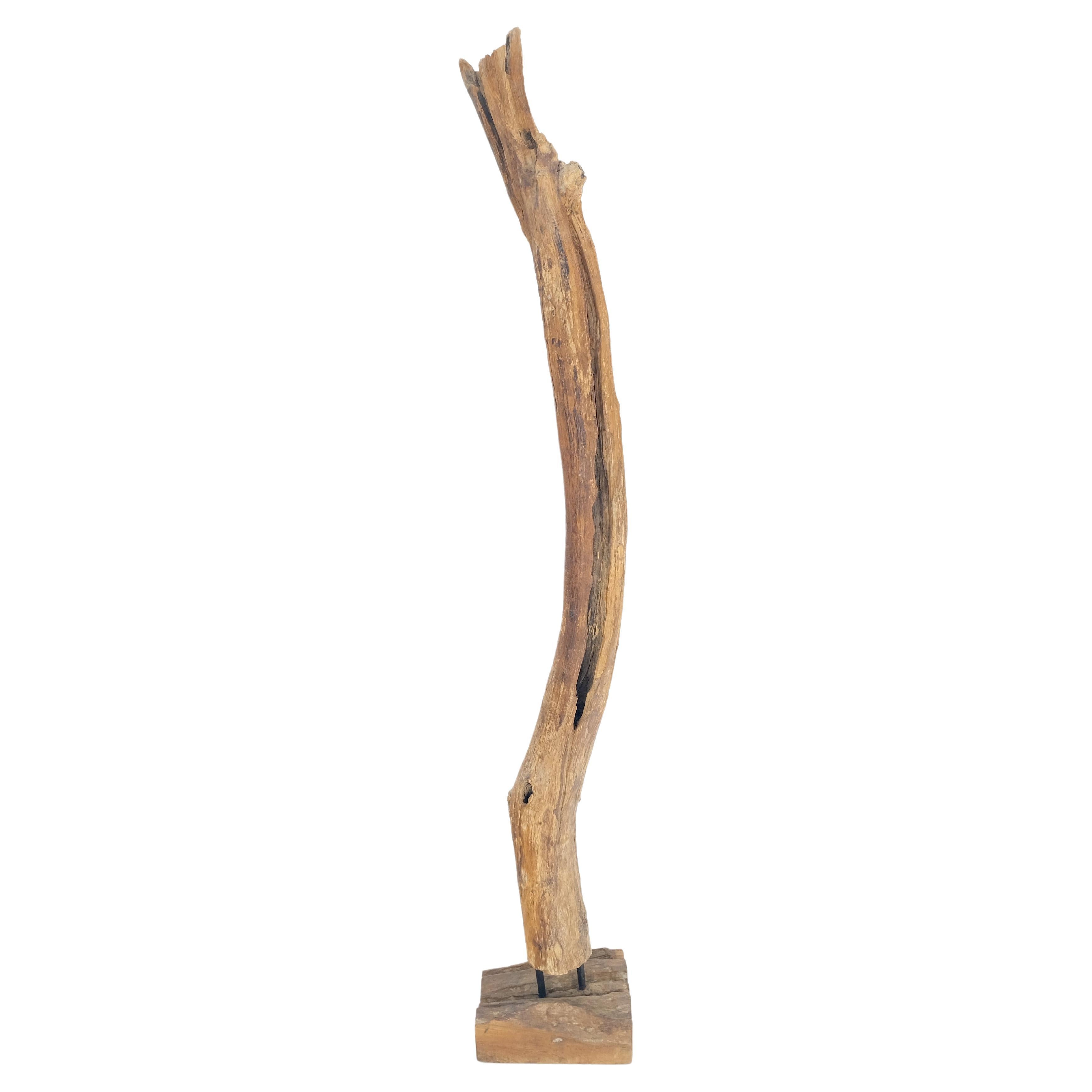 Mid Century Modern 78" Tall Narrow Drift Wood Sculpture Specimen on Wooden Base For Sale