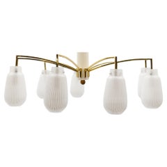 Chandeliers and Pendants