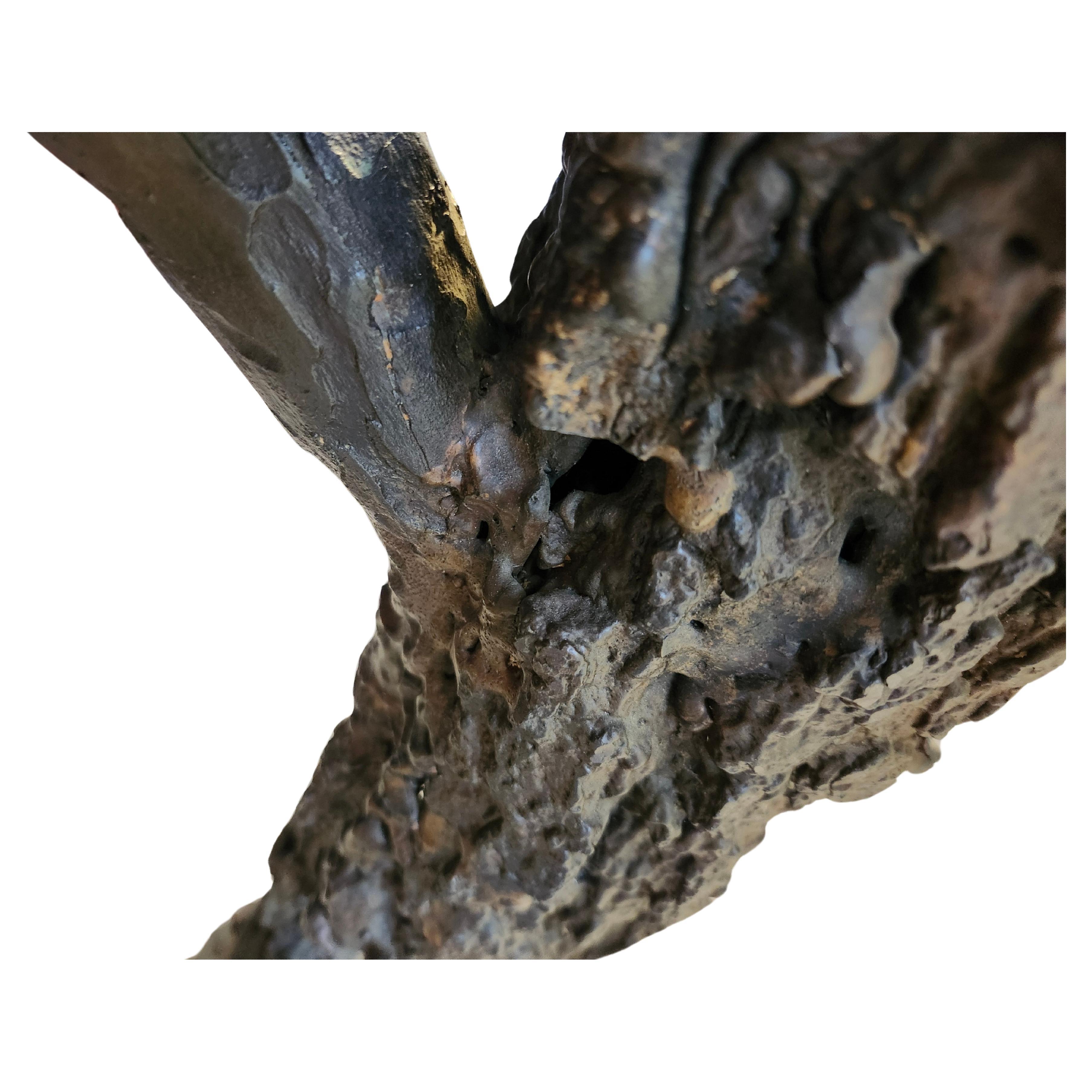 Spectacular Brutalist expression of a standing tree stump log in Bronze. Artist unknown, but definitely from the early 1970s. Amazing artistic craftsmanship.  The stump is well balanced and very heavy so once its placed it is very stable.  Graining