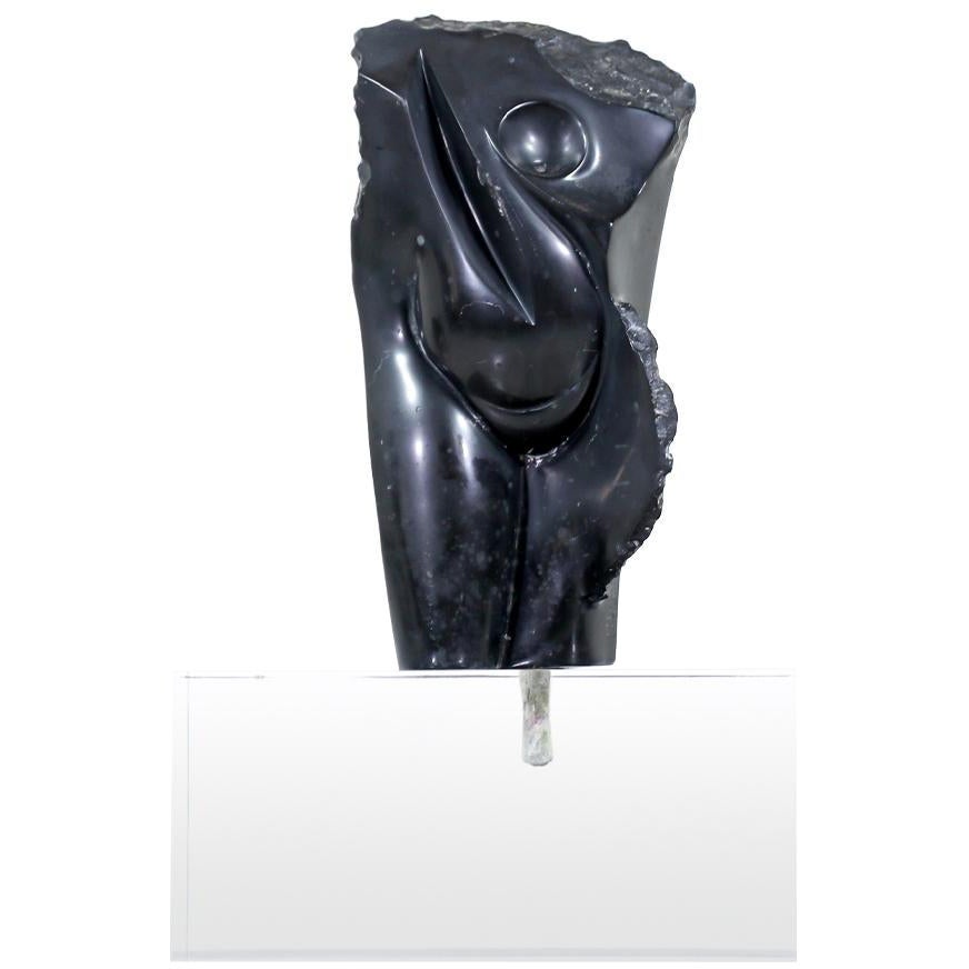 Mid-Century Modern Abstract Stone Sculpture on Lucite Base