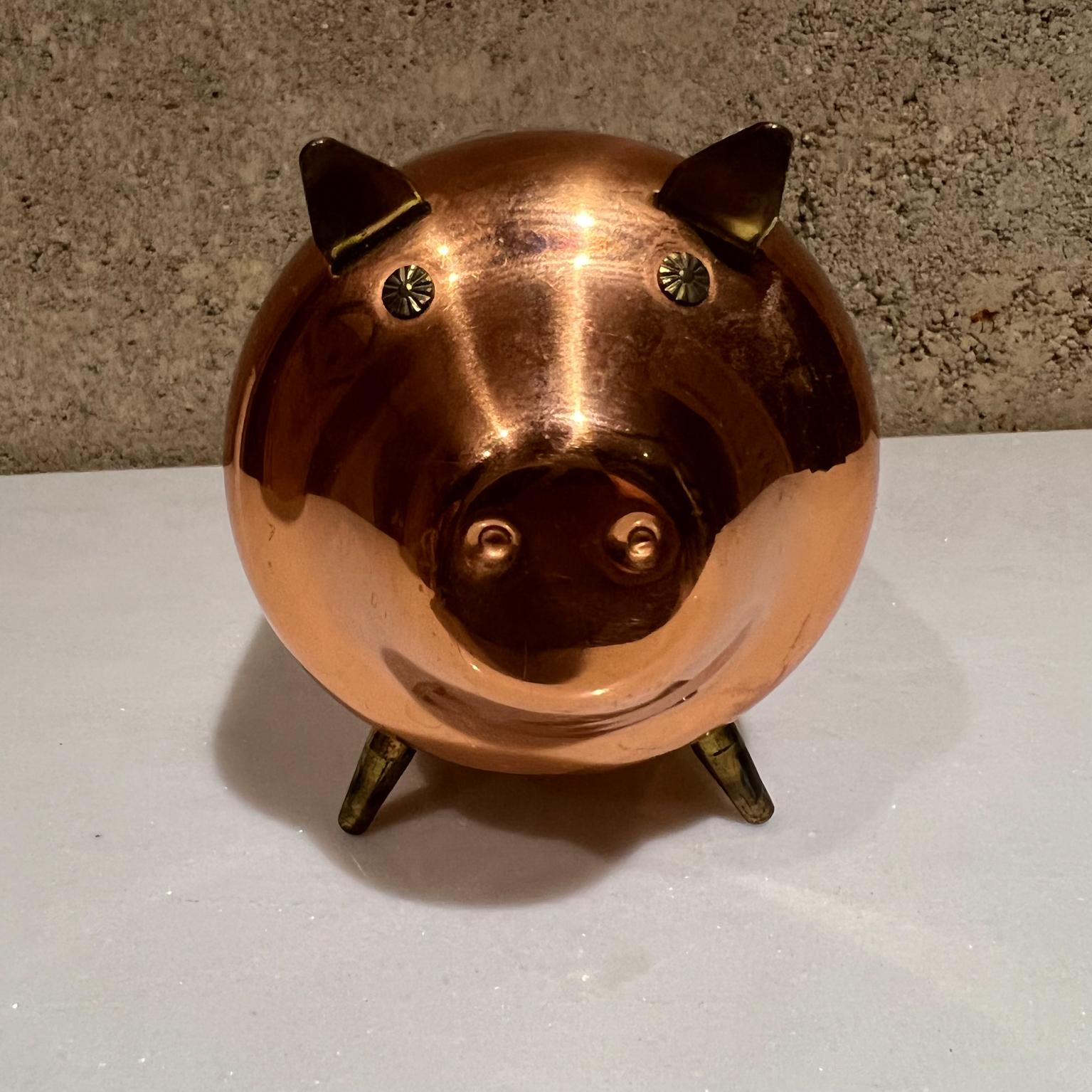 shiny piggy