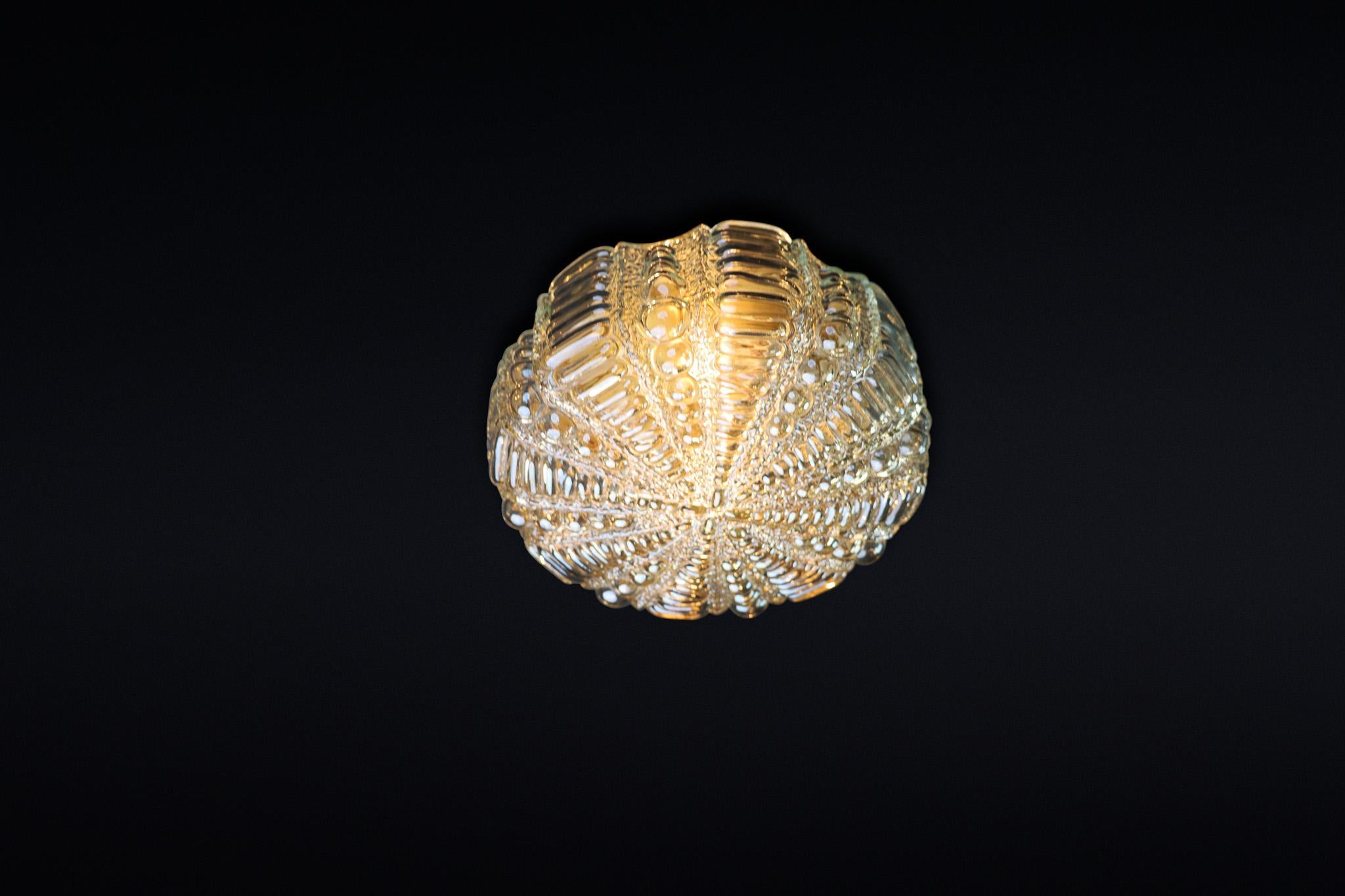 Mid-Century Modern amber glass ceiling or wall lights by Kaiser Leuchten Germany For Sale 5