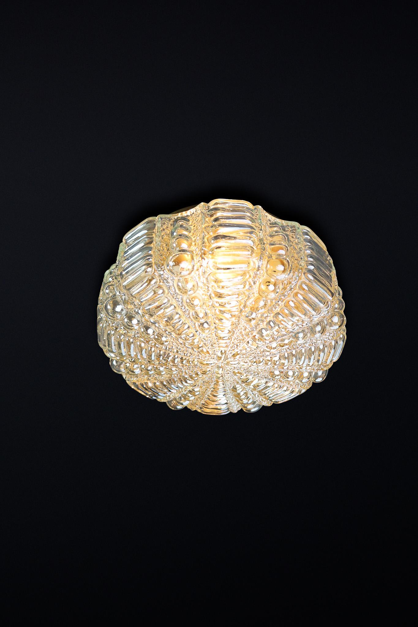 Mid-Century Modern amber glass ceiling or wall lights by Kaiser Leuchten Germany In Good Condition For Sale In Almelo, NL