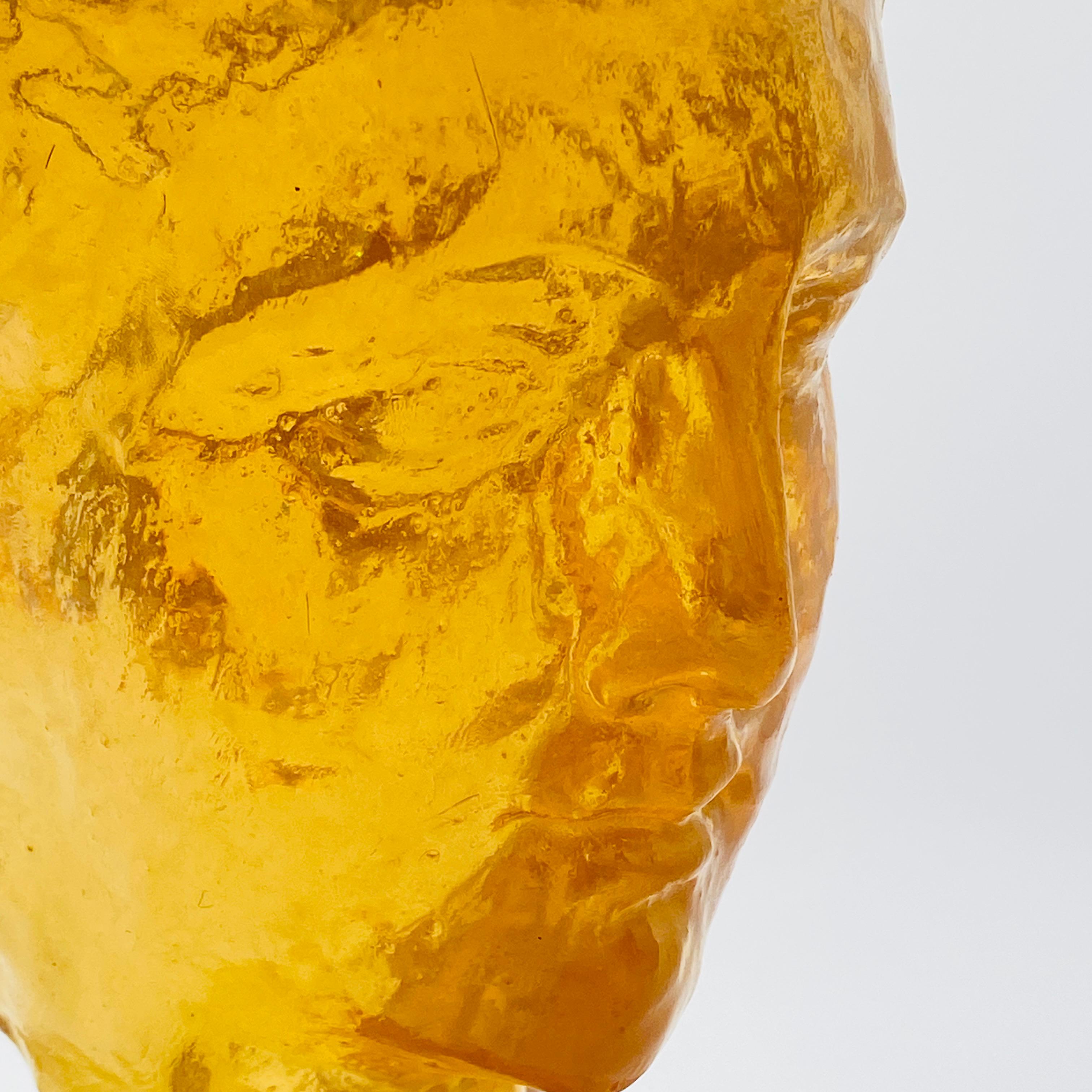 Mid-Century Modern Amber Resin Bust Sculpture by Dorothy Thorpe 1970s For Sale 6