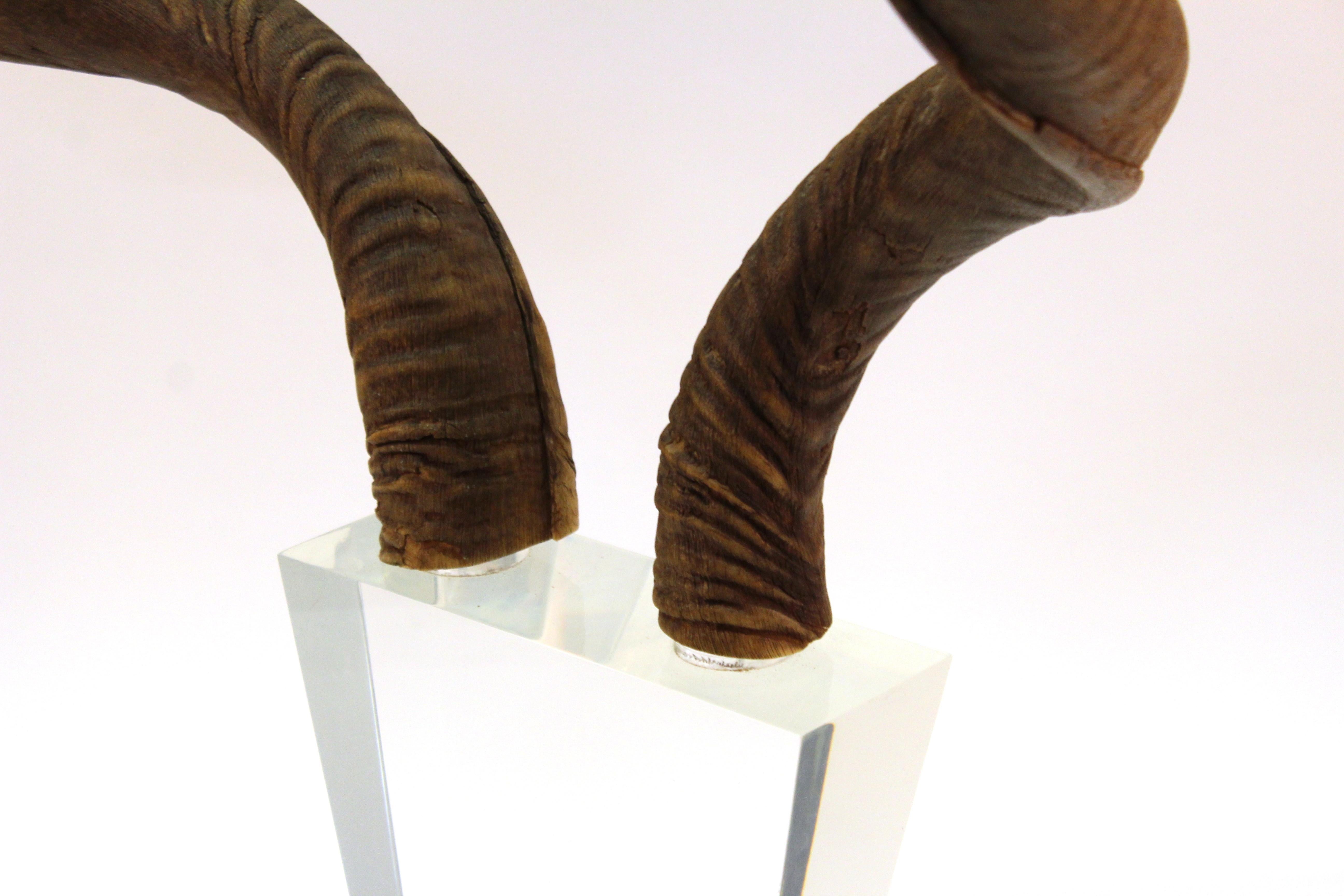 Mid-Century Modern Antelope Antlers on Lucite Stand For Sale 10