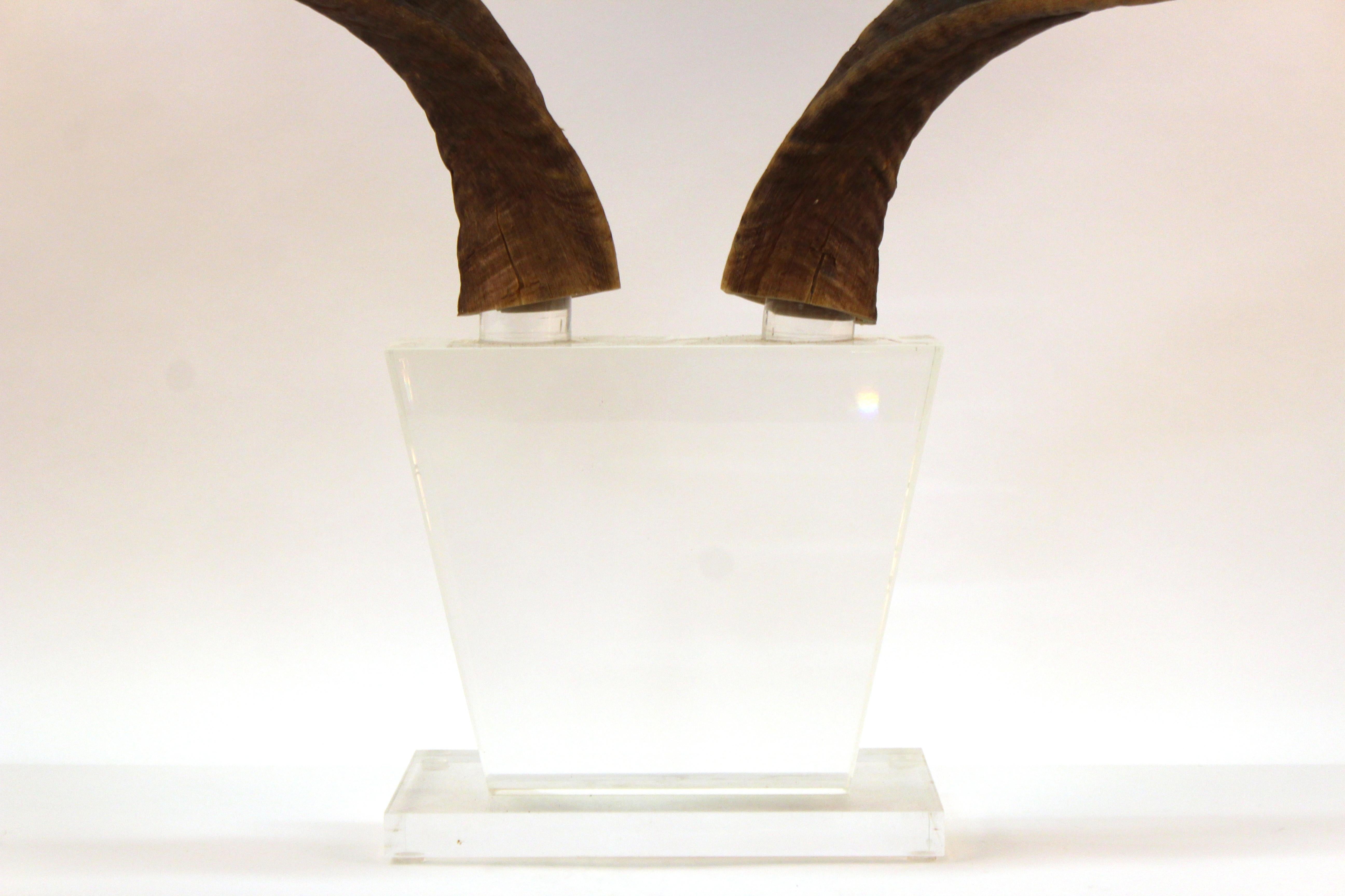 Mid-Century Modern Antelope Antlers on Lucite Stand For Sale 2