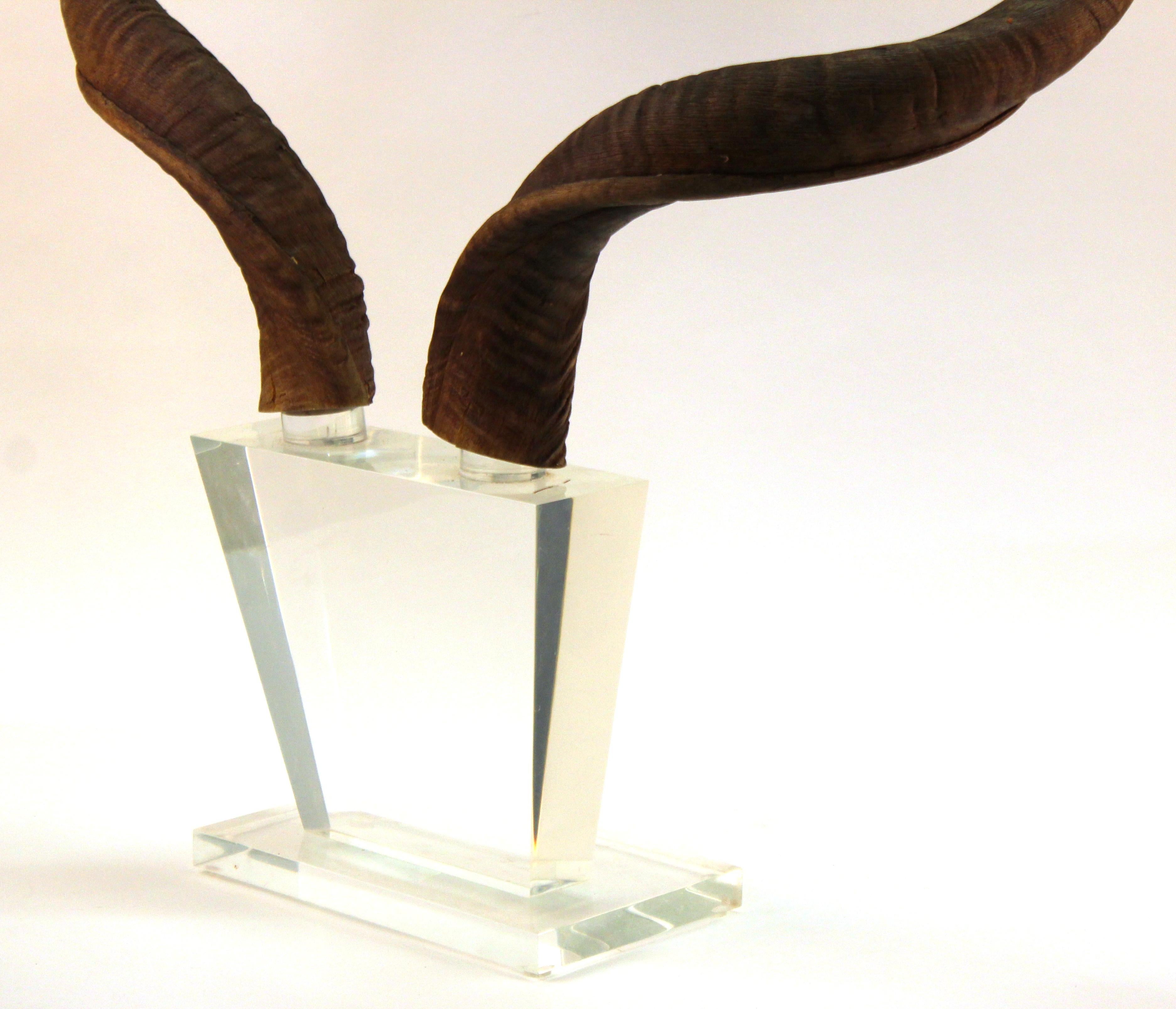 Mid-Century Modern Antelope Antlers on Lucite Stand For Sale 4