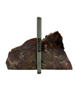 Arizona Petrified Wood Bookends