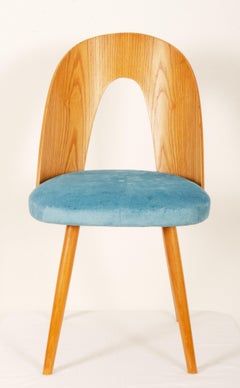 Chaise de salle à manger en frêne de style mi-siècle moderne par Antonin Suman pour Tatra