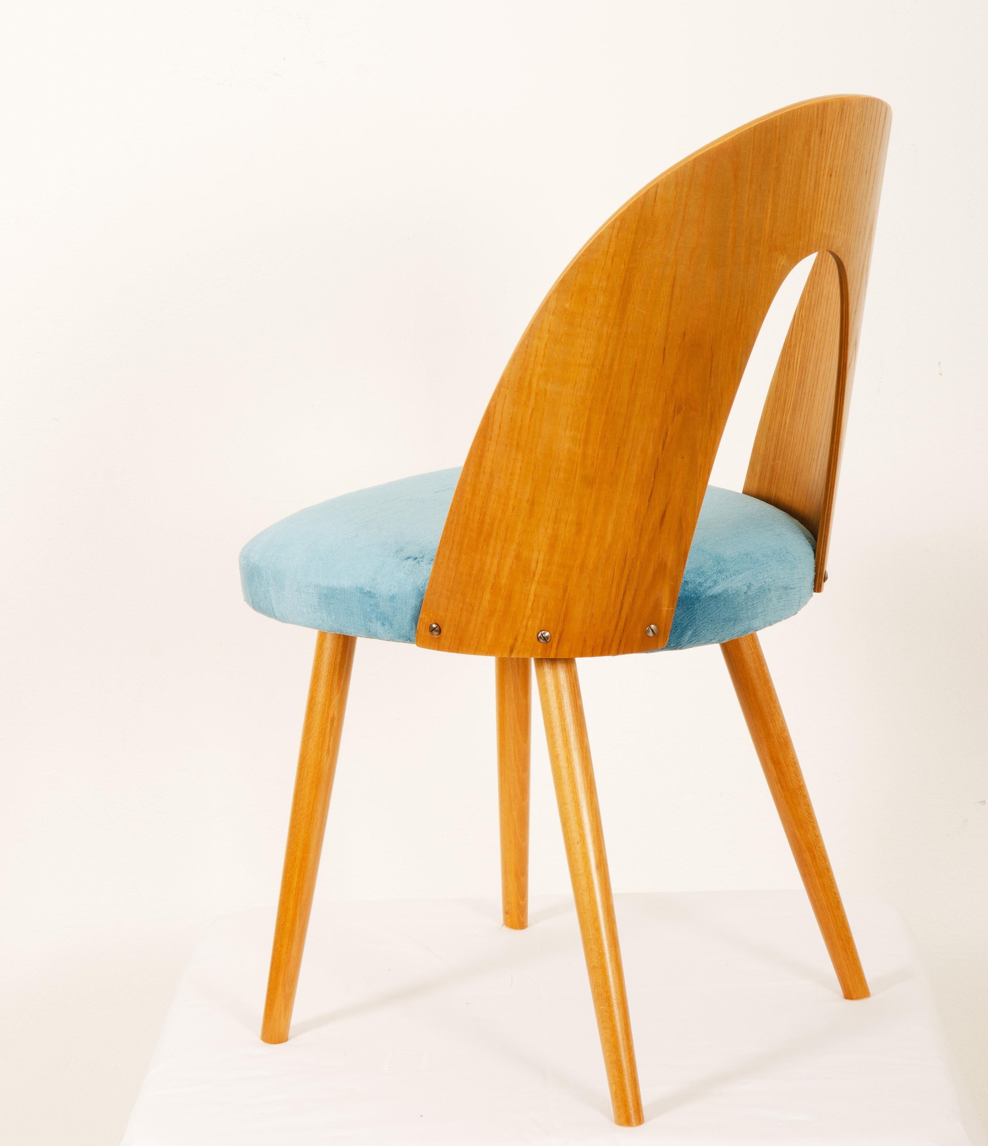 Placage Chaise de salle à manger en frêne de style mi-siècle moderne par Antonin Suman pour Tatra en vente