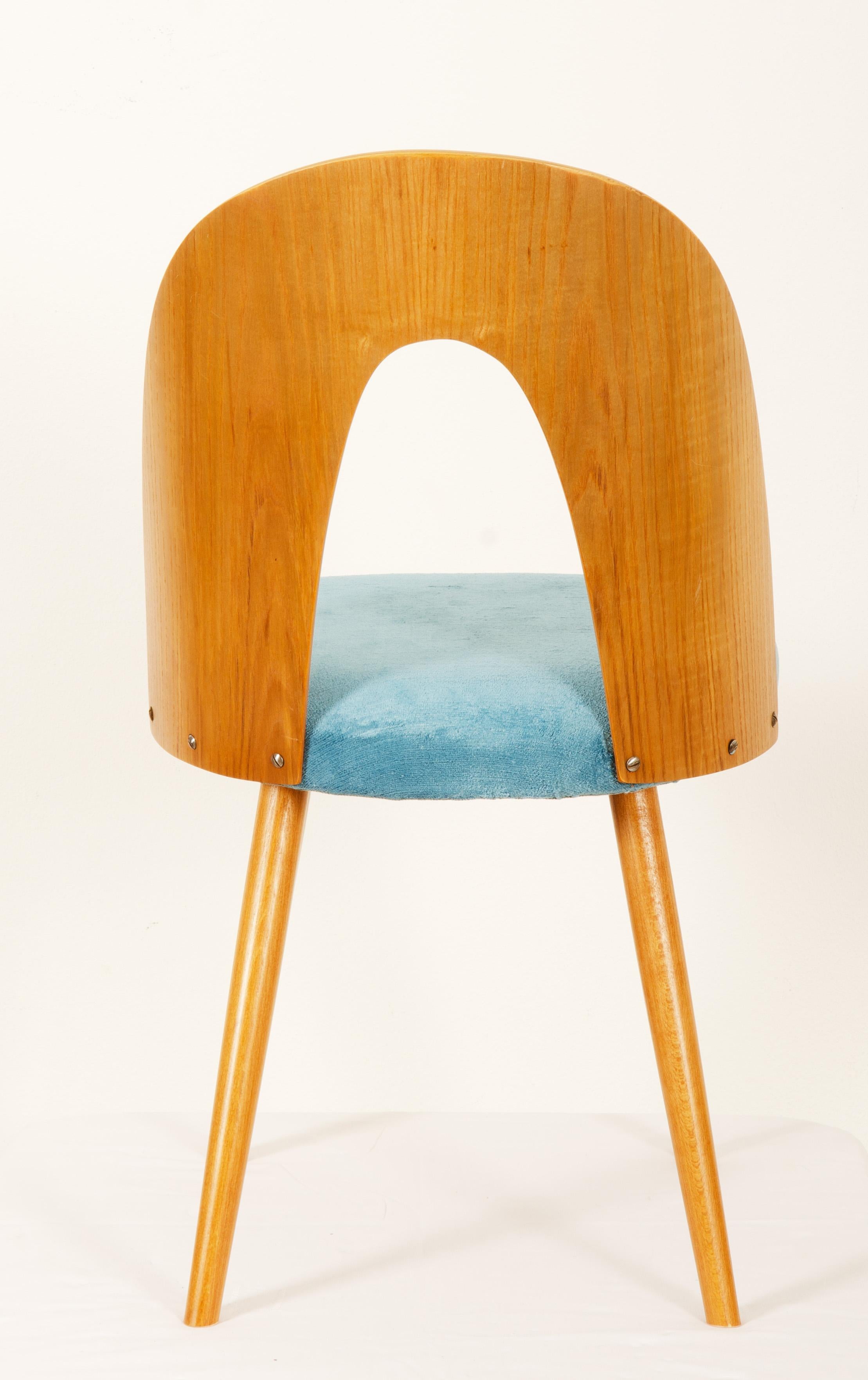 Chaise de salle à manger en frêne de style mi-siècle moderne par Antonin Suman pour Tatra Bon état - En vente à Vienna, AT
