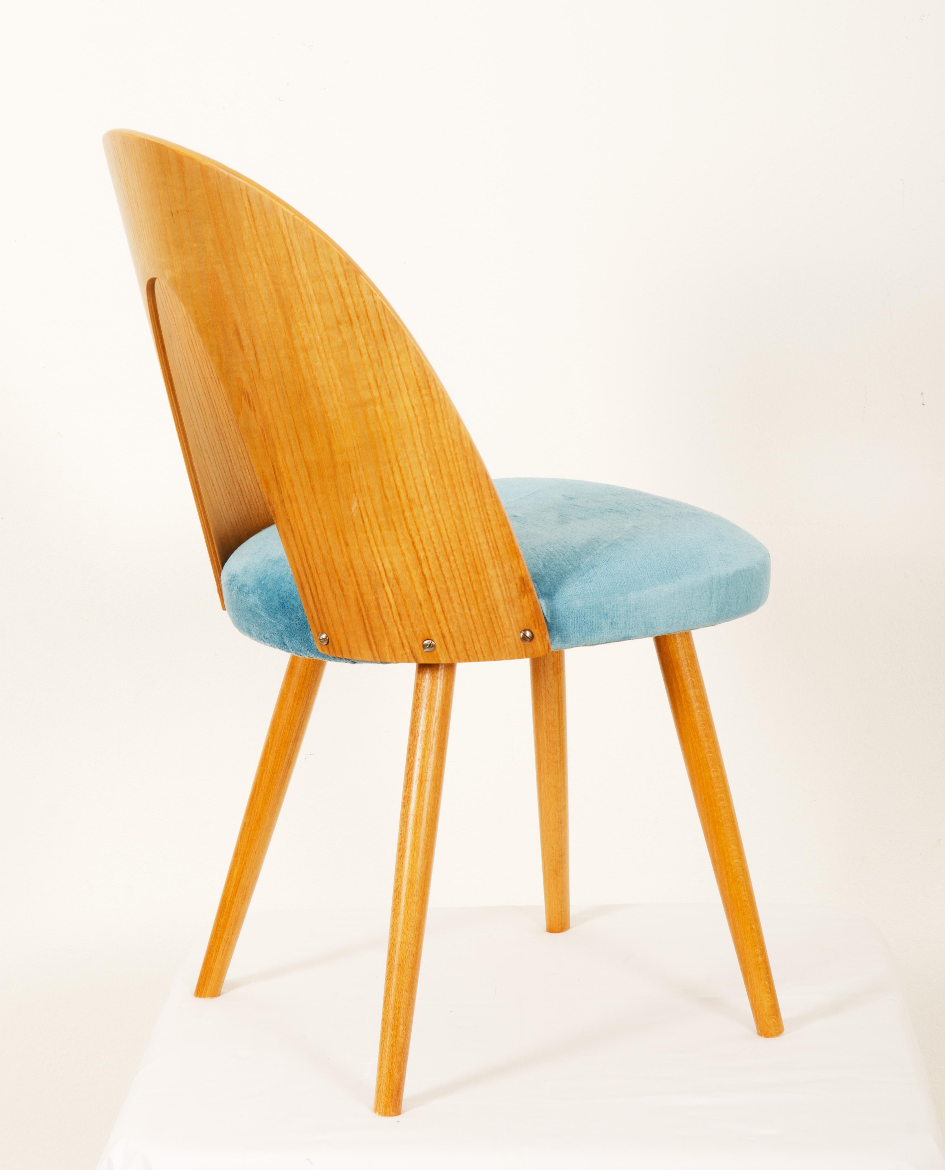 Milieu du XXe siècle Chaise de salle à manger en frêne de style mi-siècle moderne par Antonin Suman pour Tatra en vente