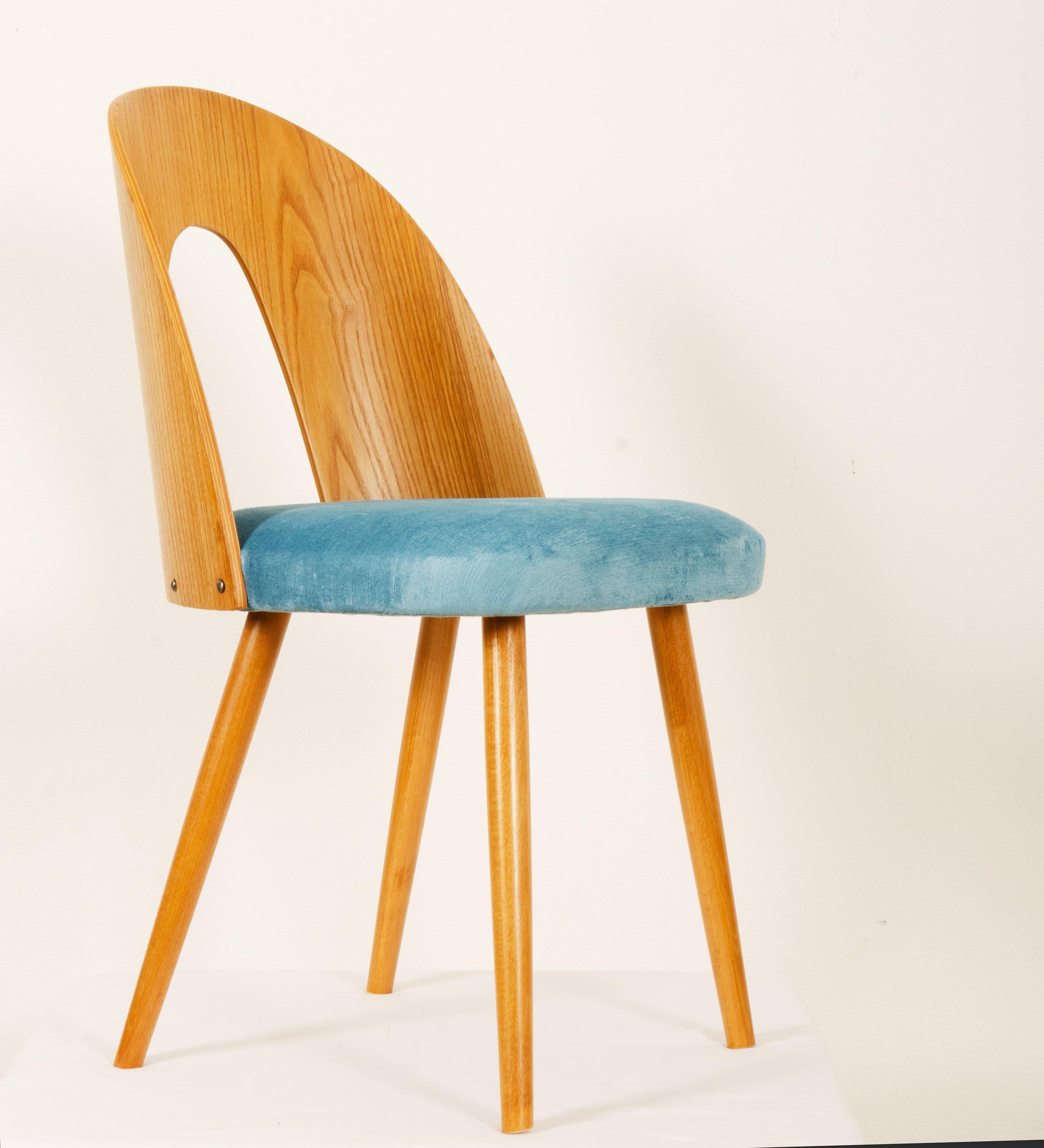 Mid-Century Modern Ash Dining Chair by Antonin Suman for Tatra In Good Condition For Sale In Vienna, AT