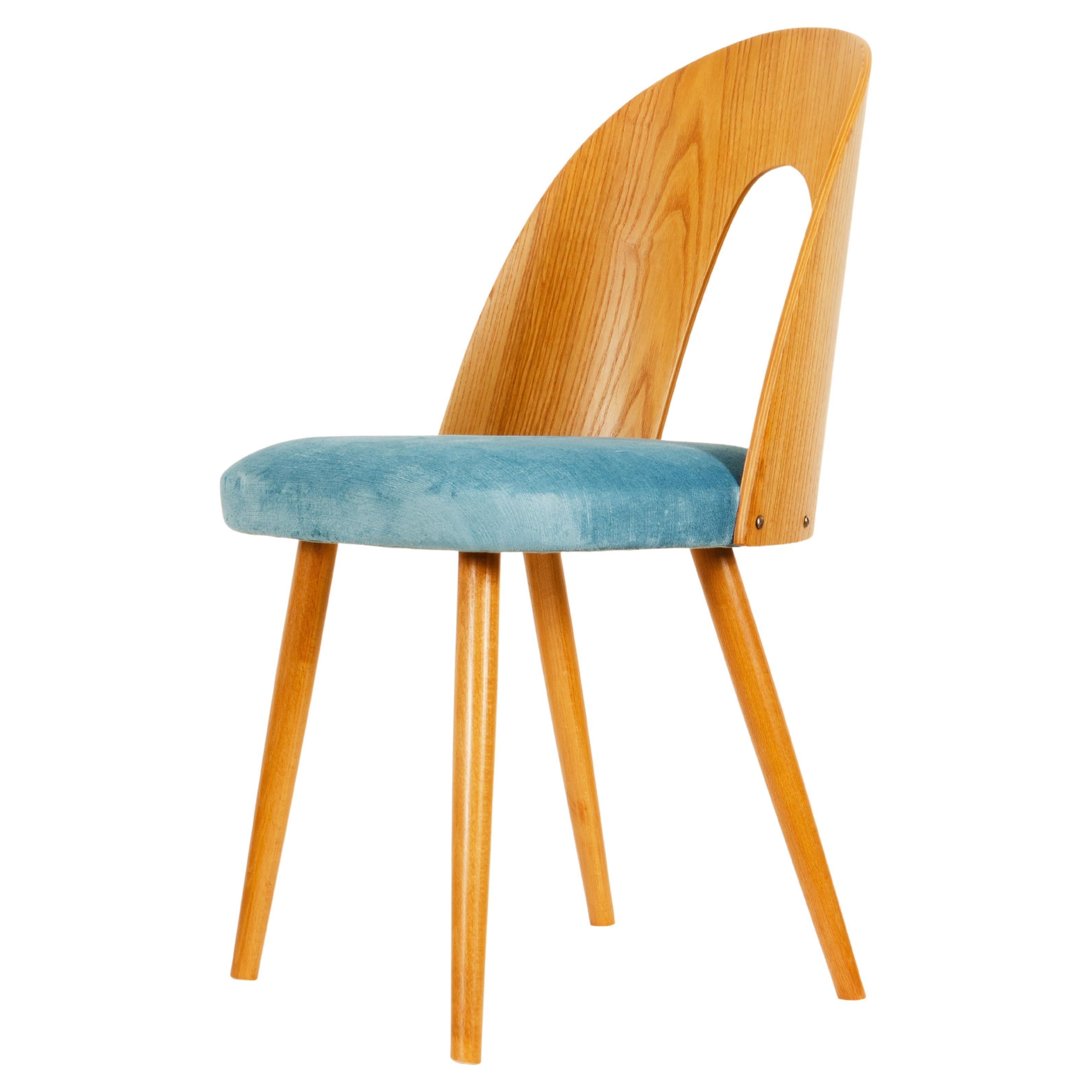Mid-Century Modern Ash Dining Chair by Antonin Suman for Tatra For Sale