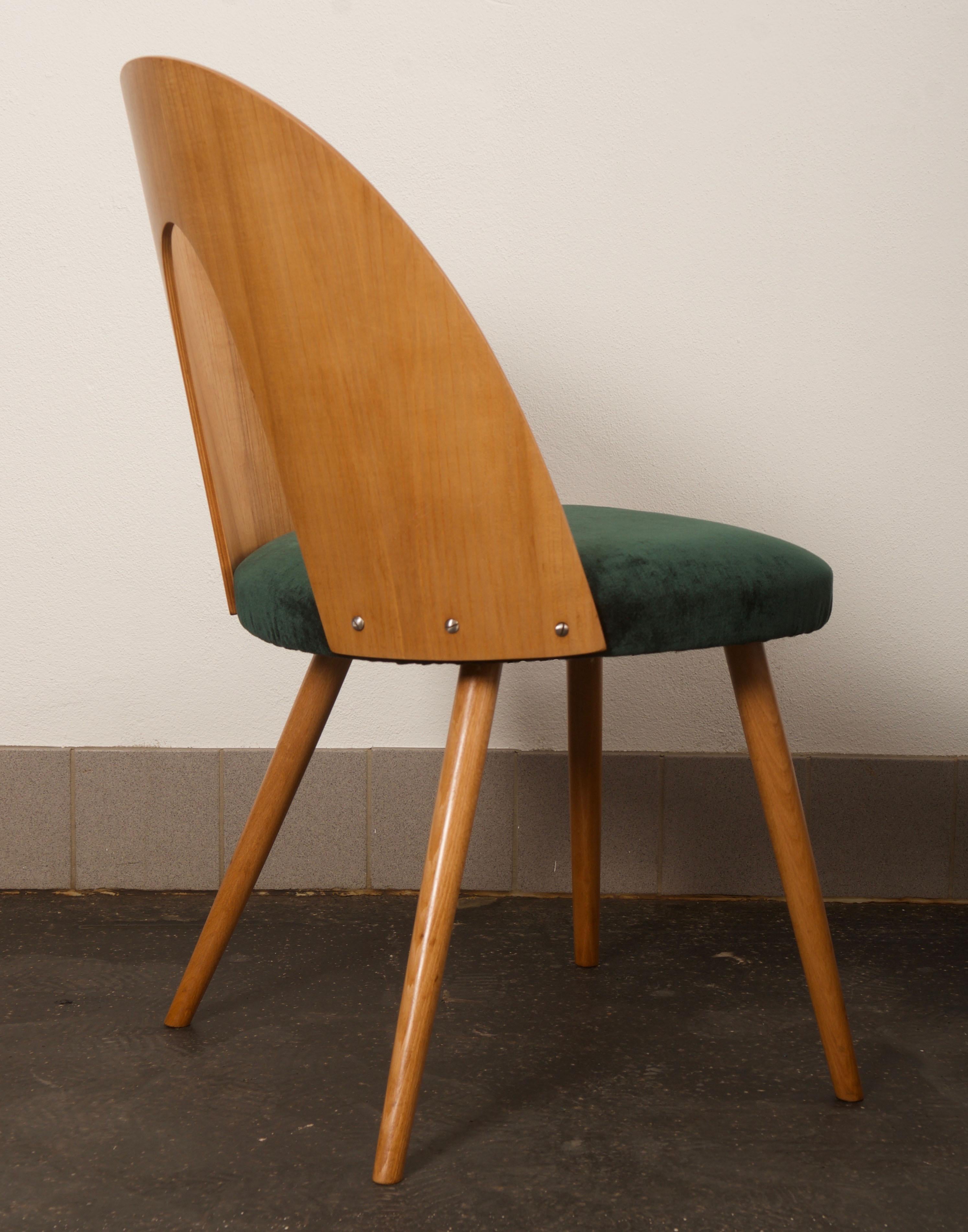 Czech Mid-Century Modern Ash Dining Chair by Antonin Suman for Tatra For Sale