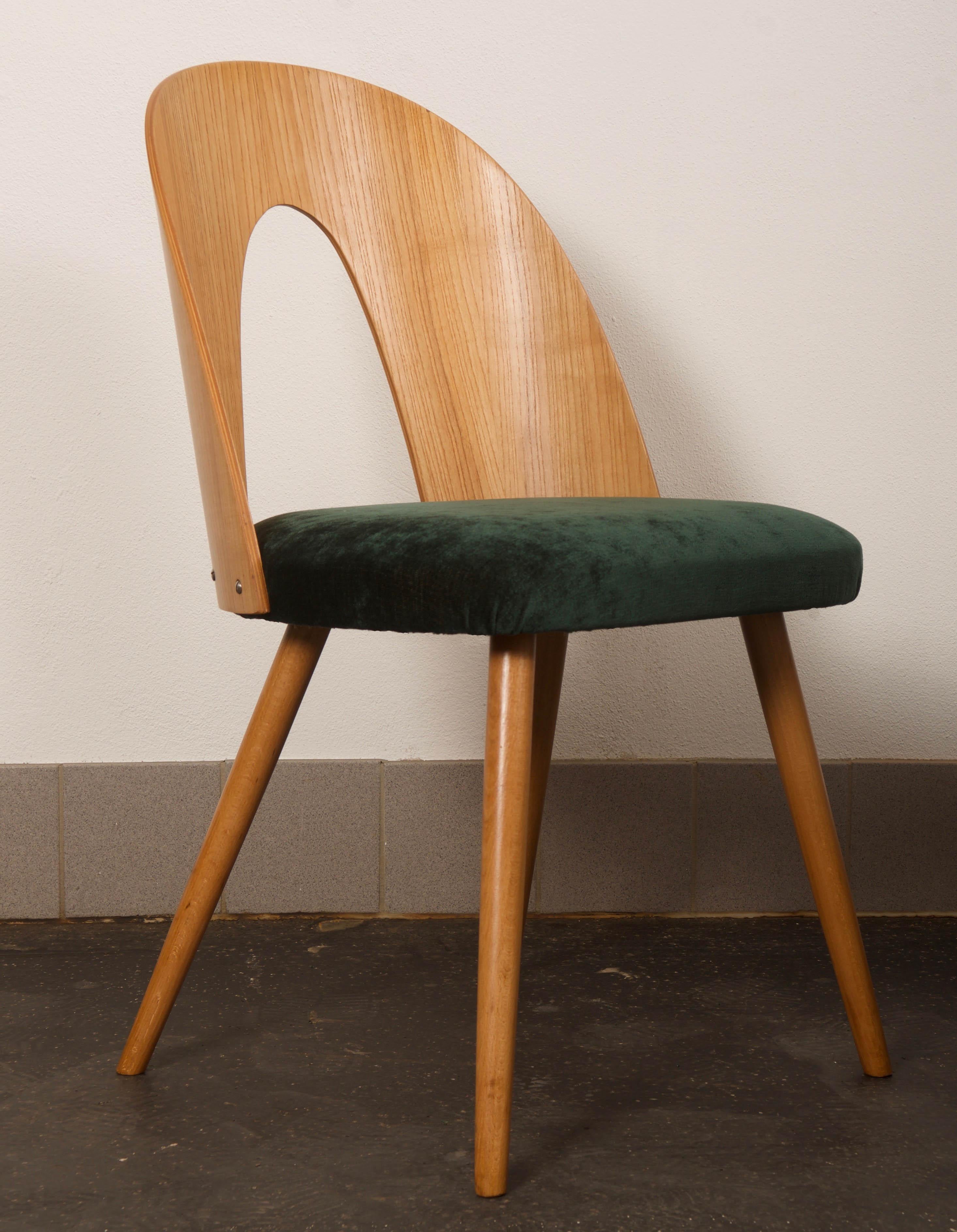 Mid-Century Modern Ash Dining Chair by Antonin Suman for Tatra In Excellent Condition For Sale In Vienna, AT