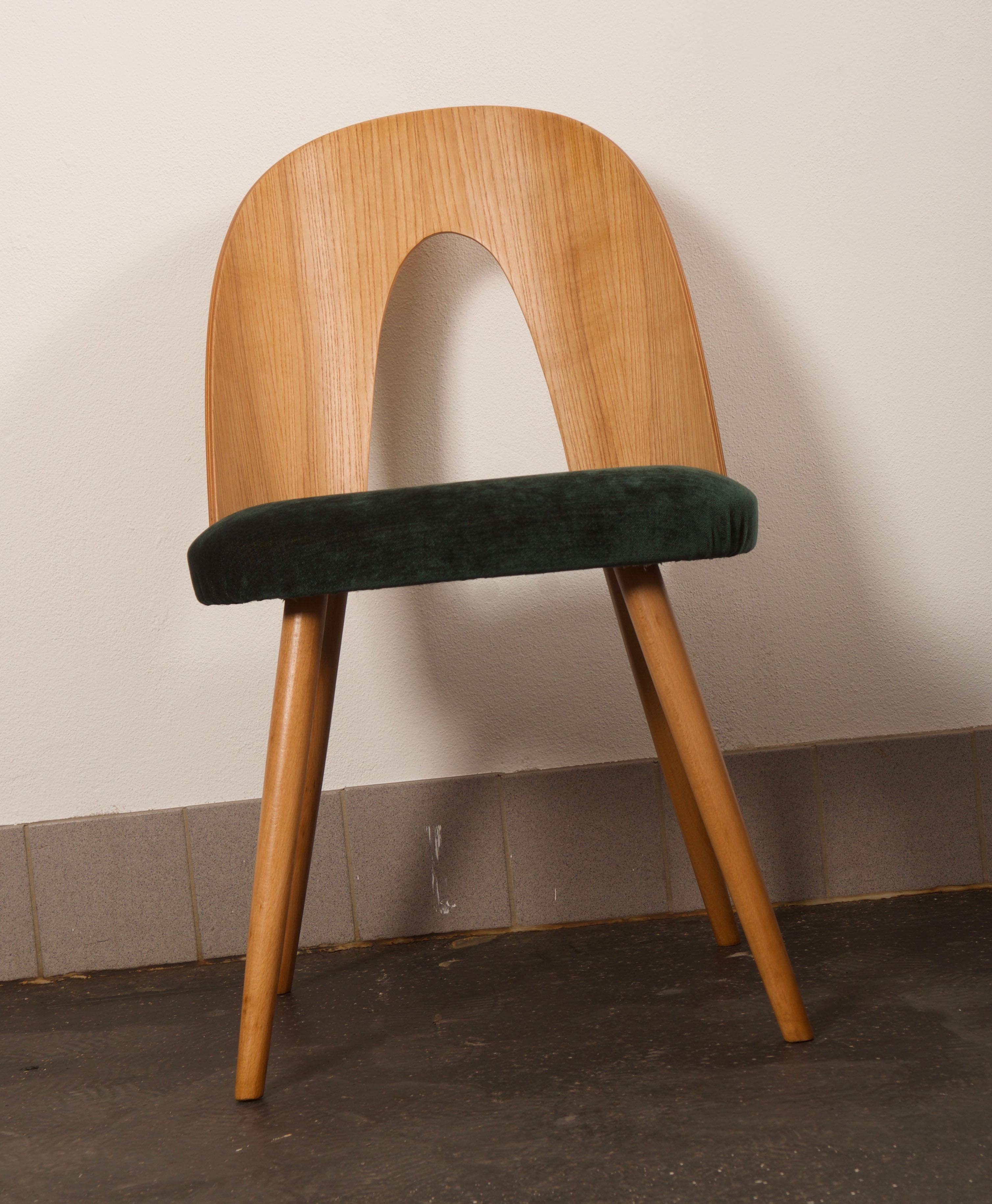 Mid-20th Century Mid-Century Modern Ash Dining Chair by Antonin Suman for Tatra For Sale