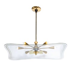Mid-Century Modern Chandeliers and Pendants