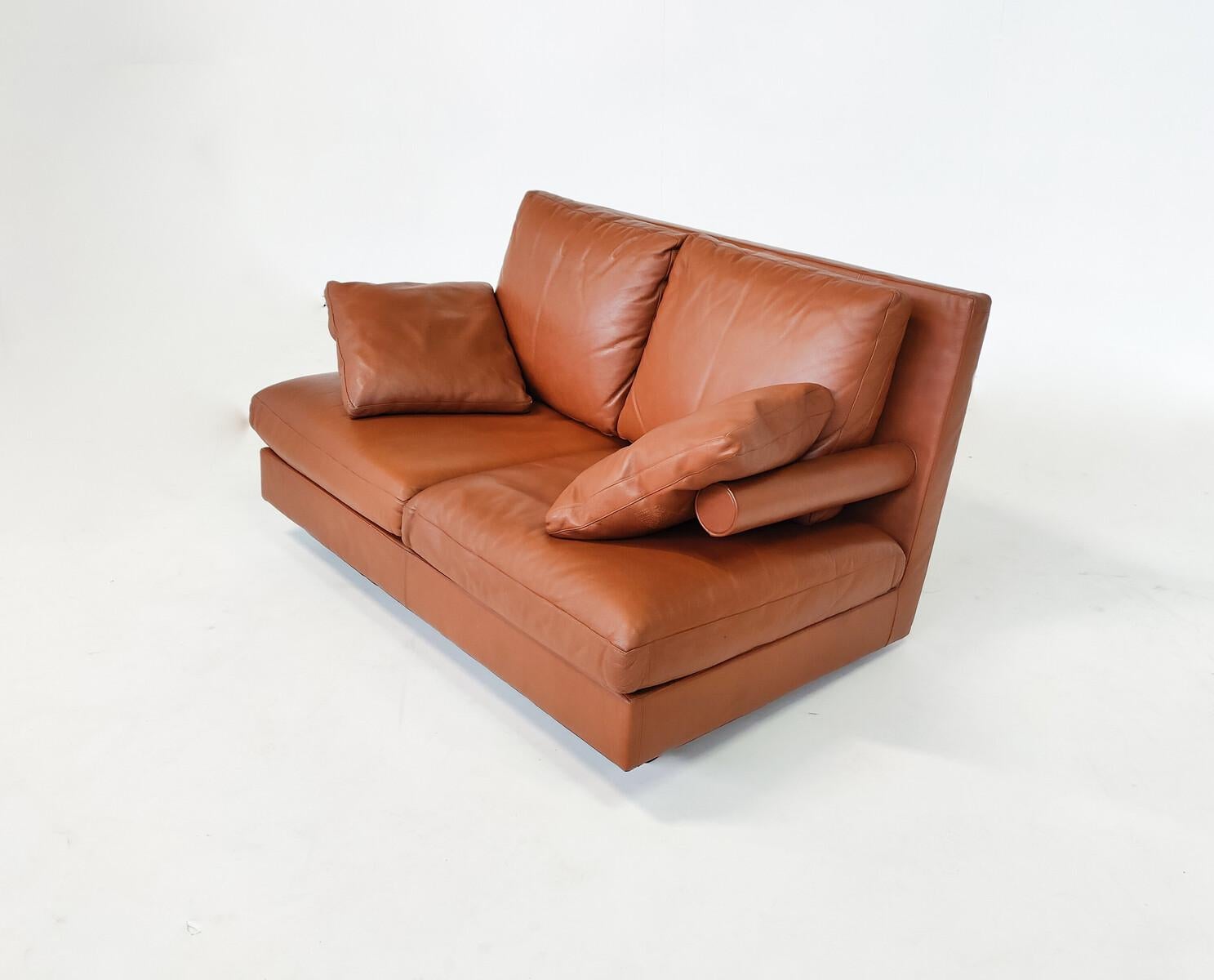 Italian Mid-Century Modern Baisity Two Seater Sofa by Antonio Citterio for B&B Italia